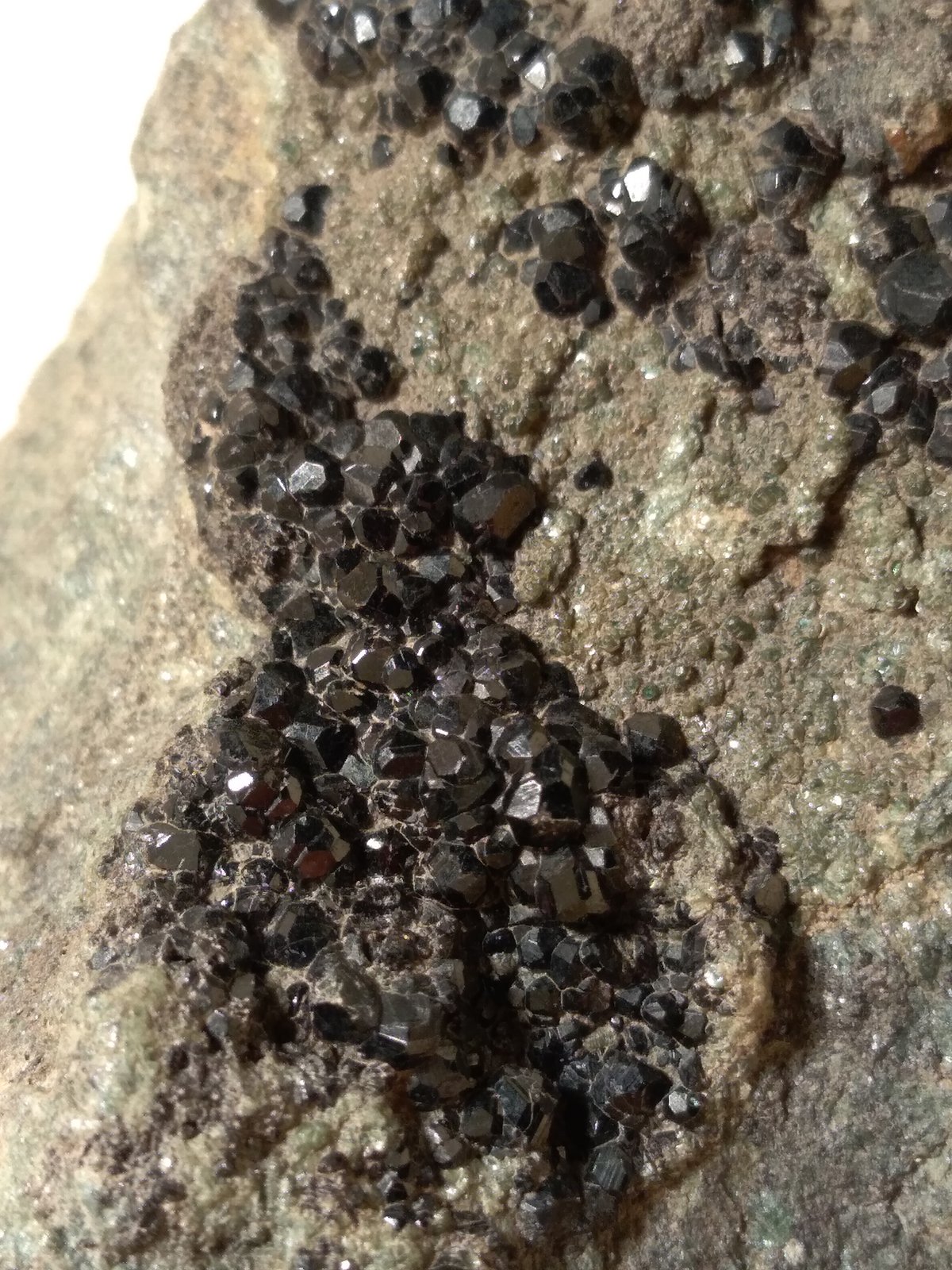 Andradite (variety melanite)
46 x 55 mm
(Autor: Sante Celiberti)