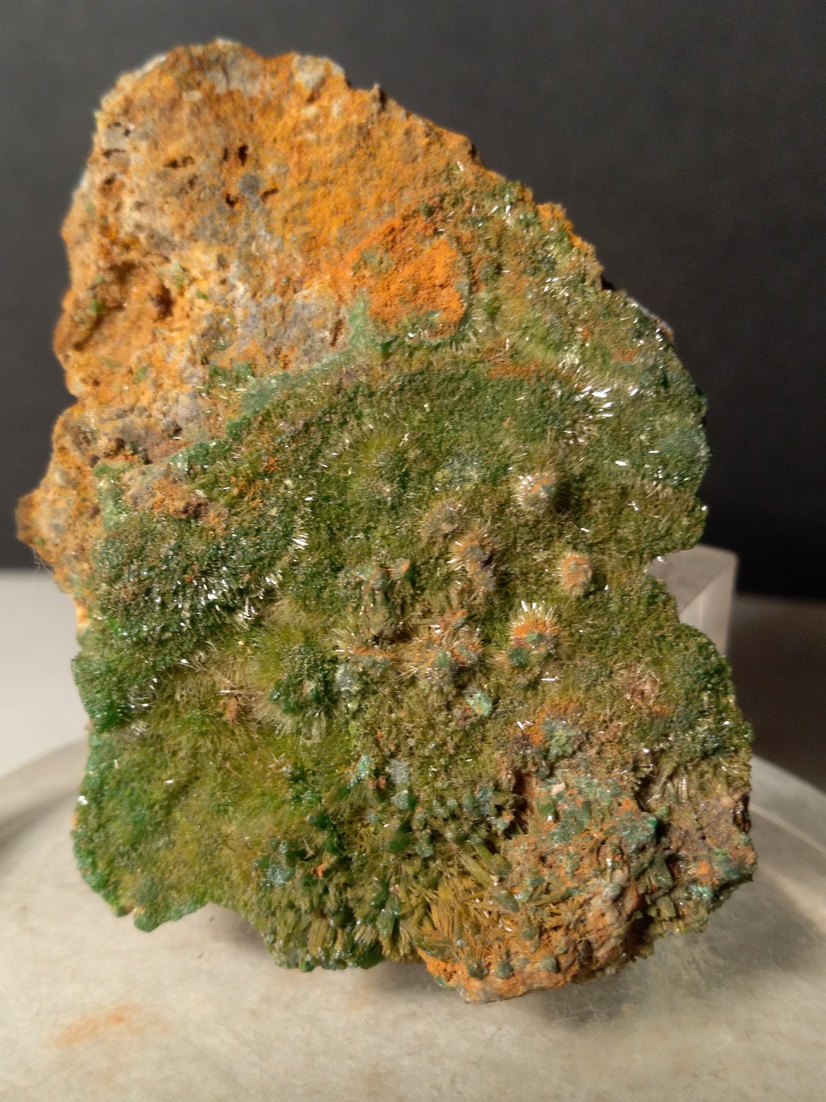 Pyromorphite
52 x 37 mm
(Autor: Sante Celiberti)