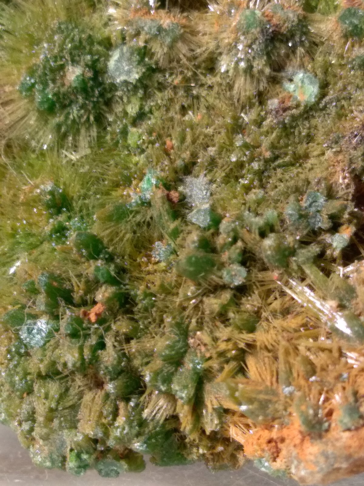 Pyromorphite
52 x 37 mm
(Autor: Sante Celiberti)