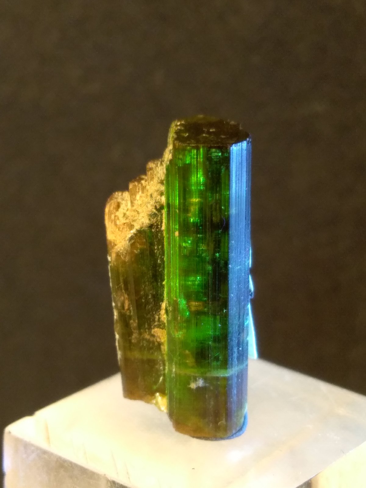 Vesuvianite
17 x 8 mm
(Autor: Sante Celiberti)