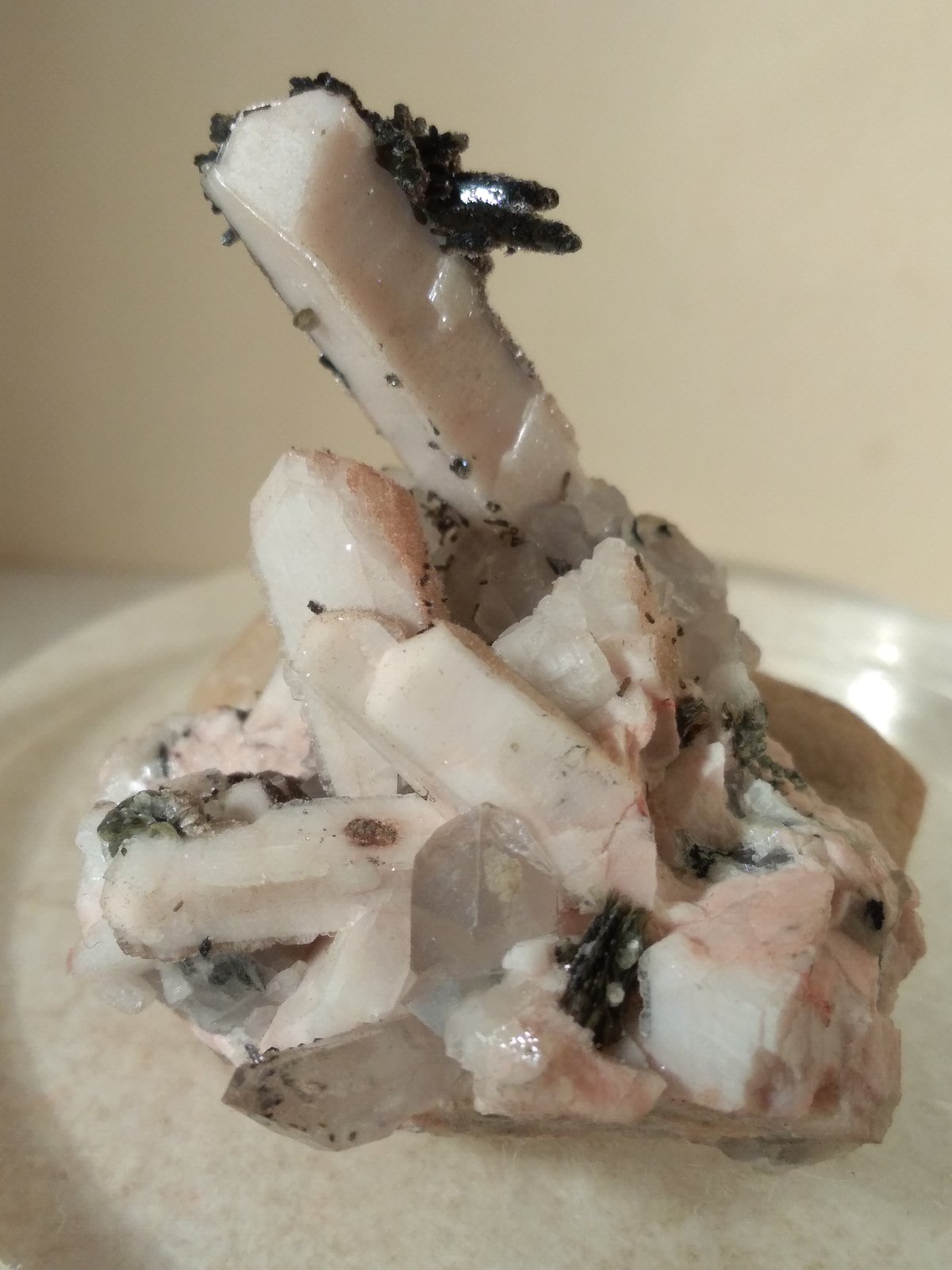 Orthoclase, Quartz, Epidote, Muscovite
32 x 30 mm
(Autor: Sante Celiberti)