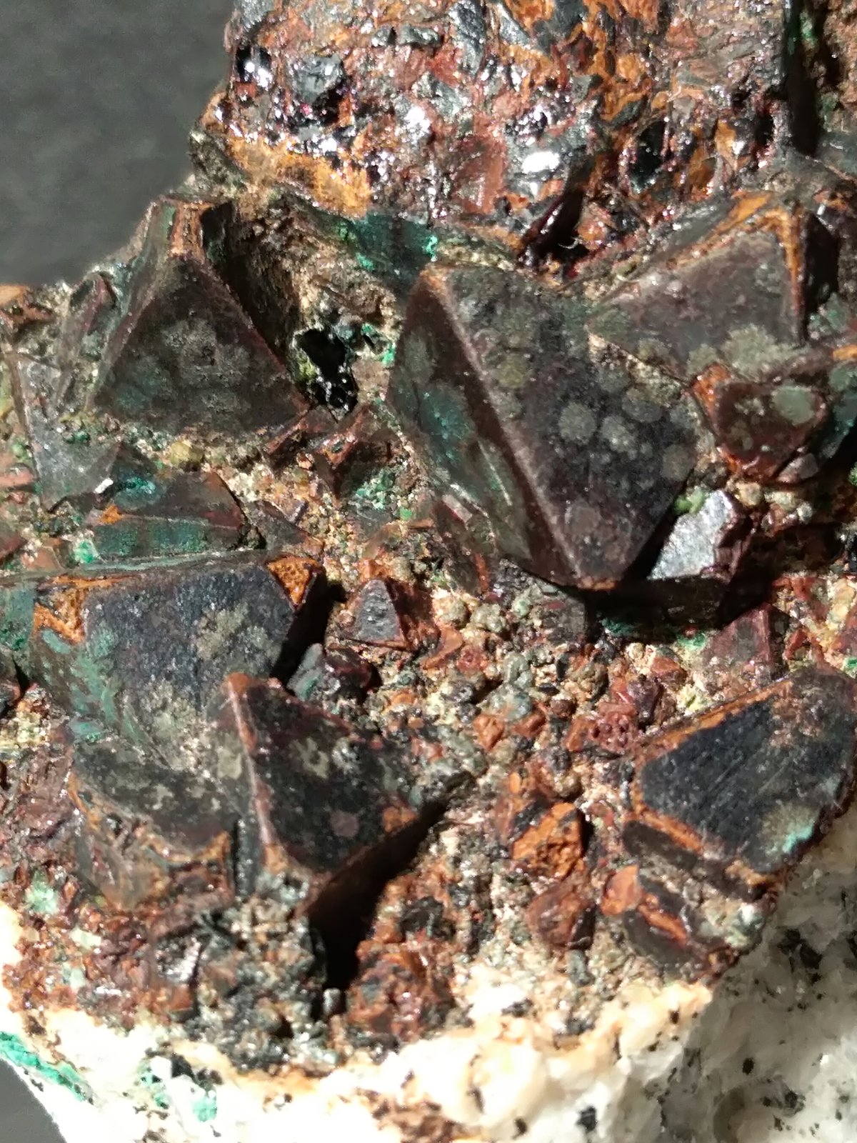 Cafarsite, Agardite
31 x 42 mm
(Autor: Sante Celiberti)