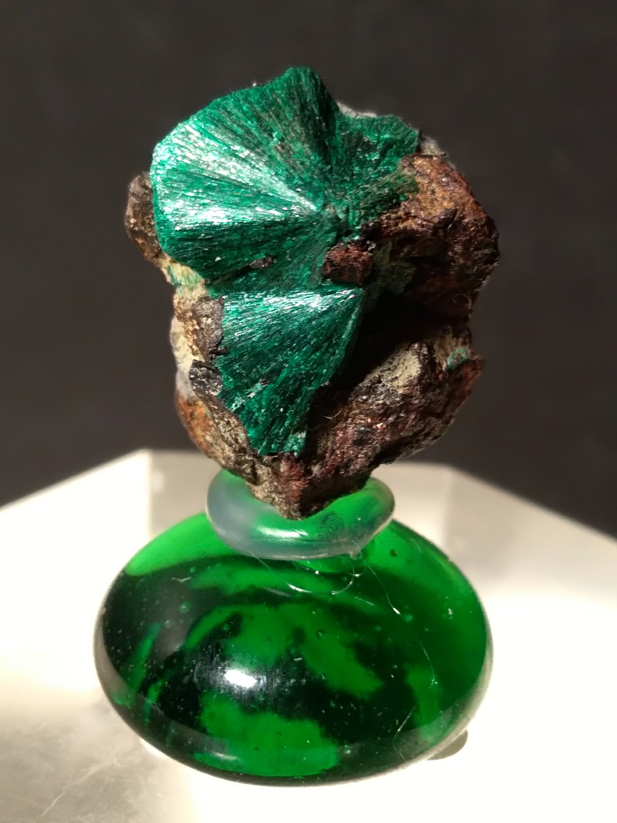Malachite
19 x 16 mm
(Autor: Sante Celiberti)