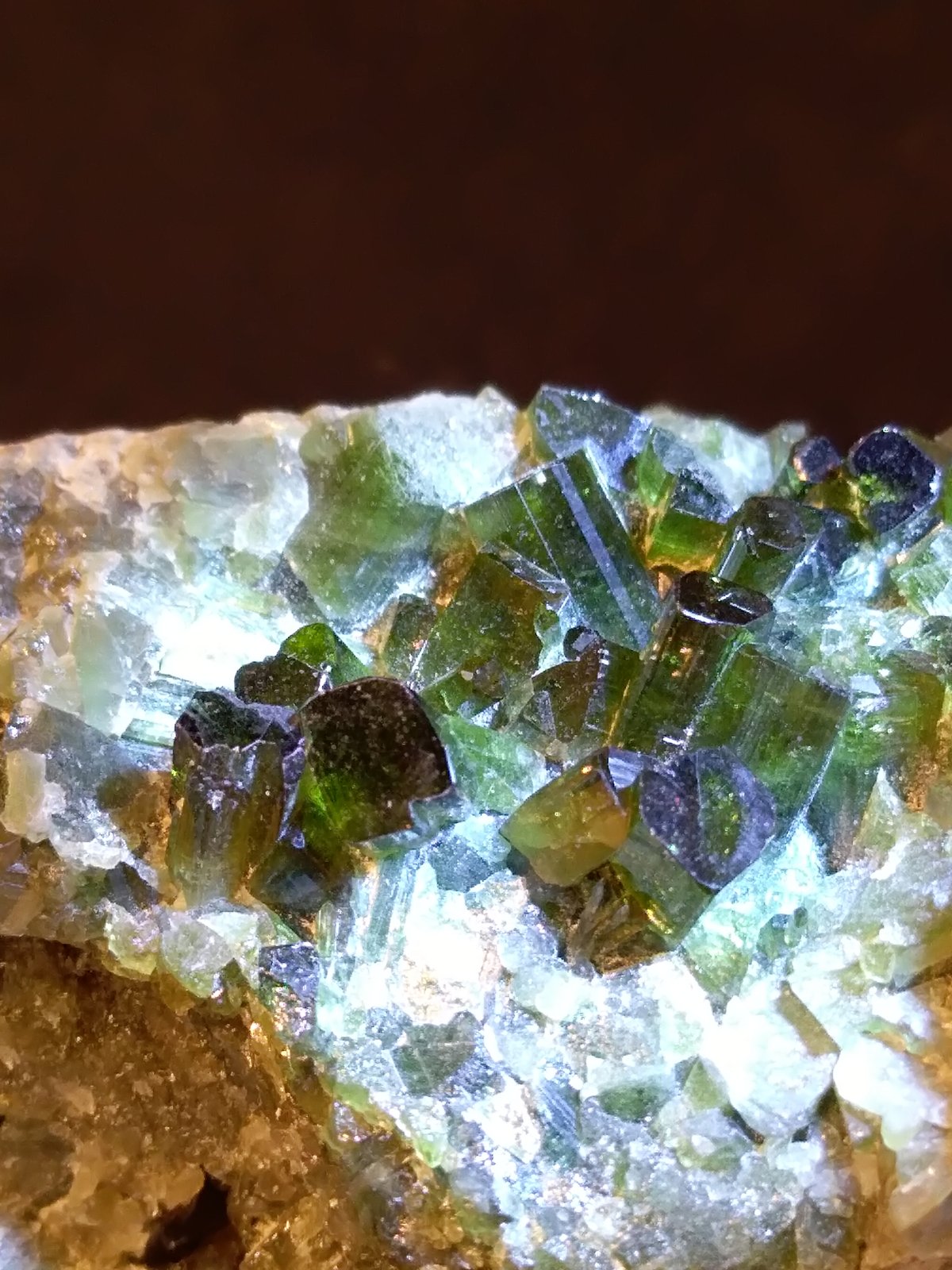 Vesuvianite (variety chromium-rich)
57 x 30 mm
(Autor: Sante Celiberti)