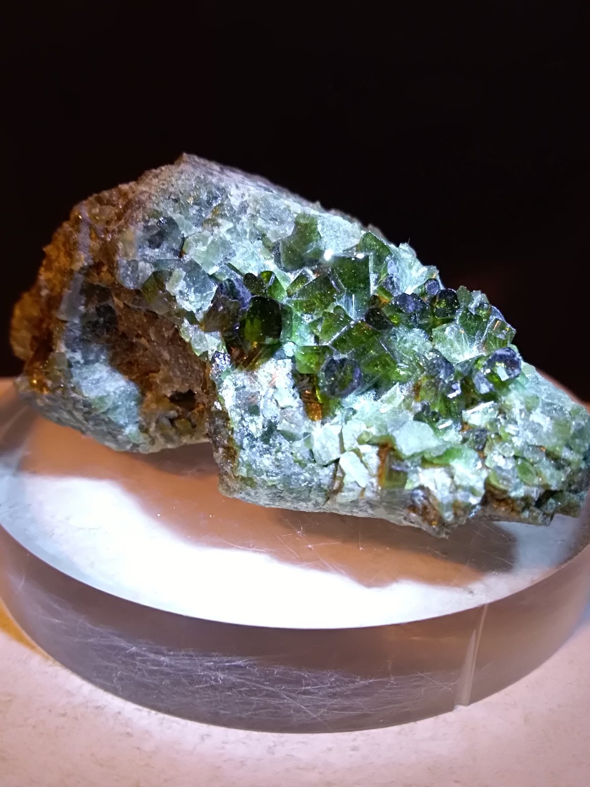 Vesuvianite (variety chromium-rich)
57 x 30 mm
(Autor: Sante Celiberti)