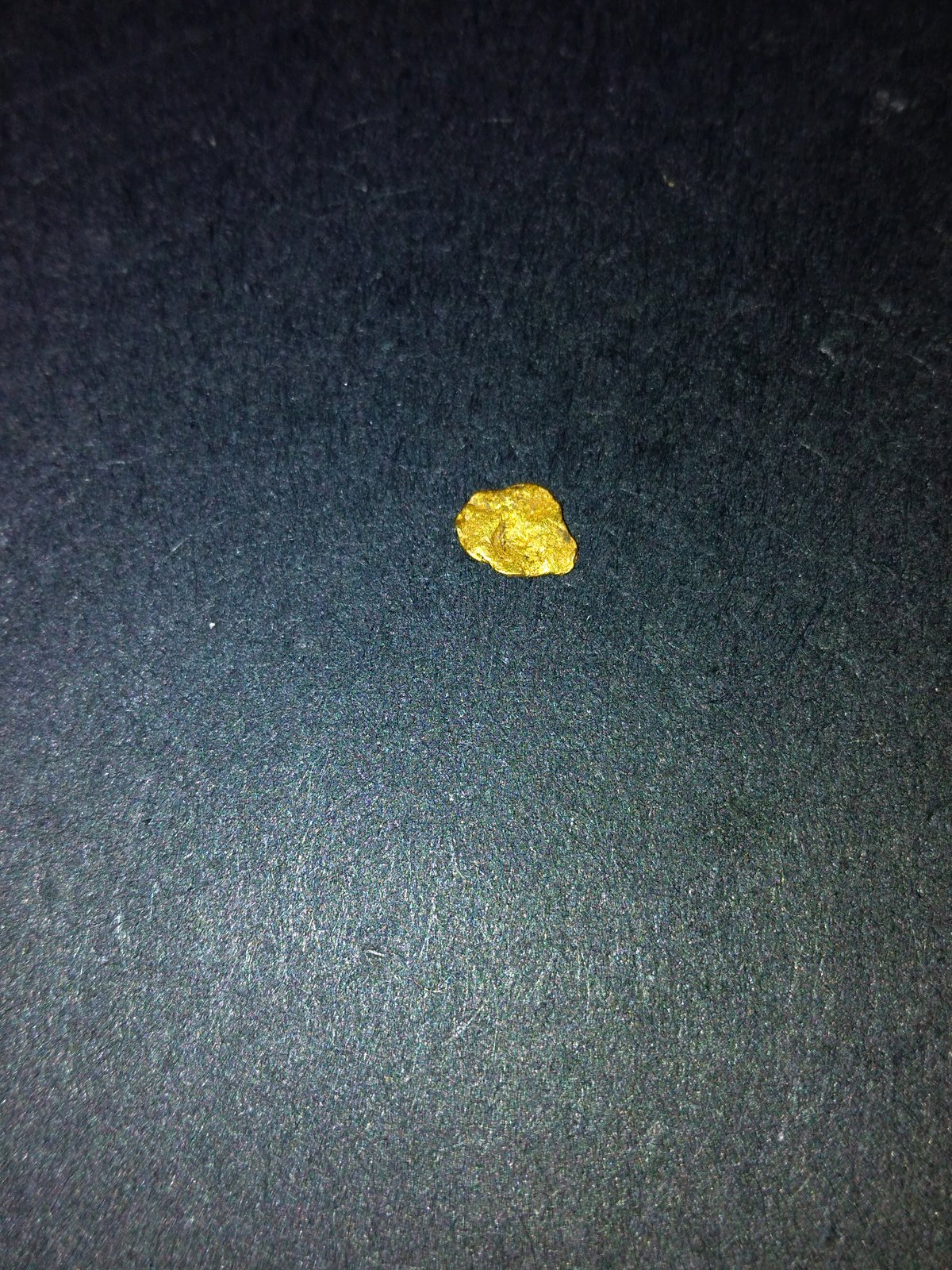 Gold
7 mm
(Autor: Sante Celiberti)