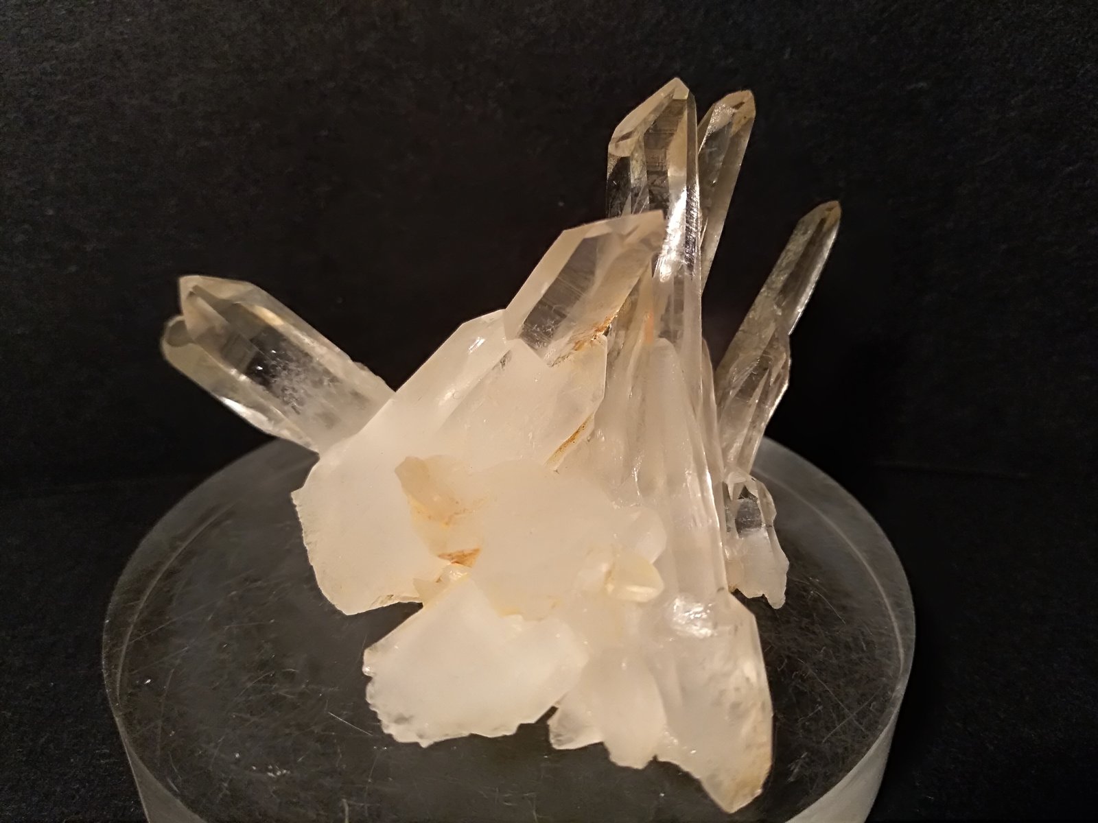 Quartz
61 x 45 mm
(Autor: Sante Celiberti)