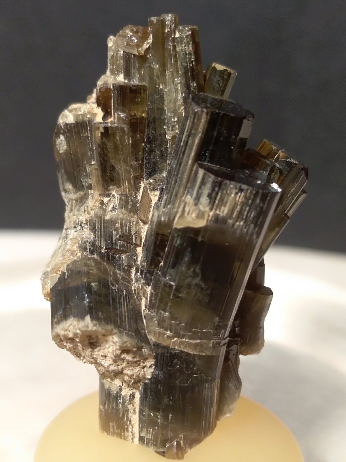 Vesuvianite
29 x 16 mm
(Autor: Sante Celiberti)