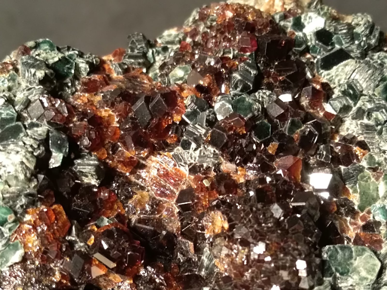Grossular (variety hessonite), Clinochlore
102 x 74 mm
(Autor: Sante Celiberti)