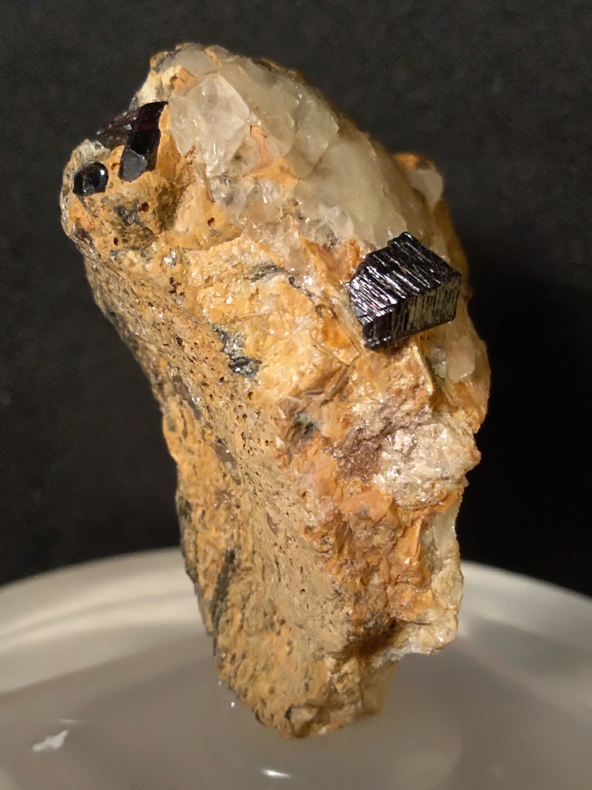 Rutile
38 x 26 mm
(Autor: Sante Celiberti)