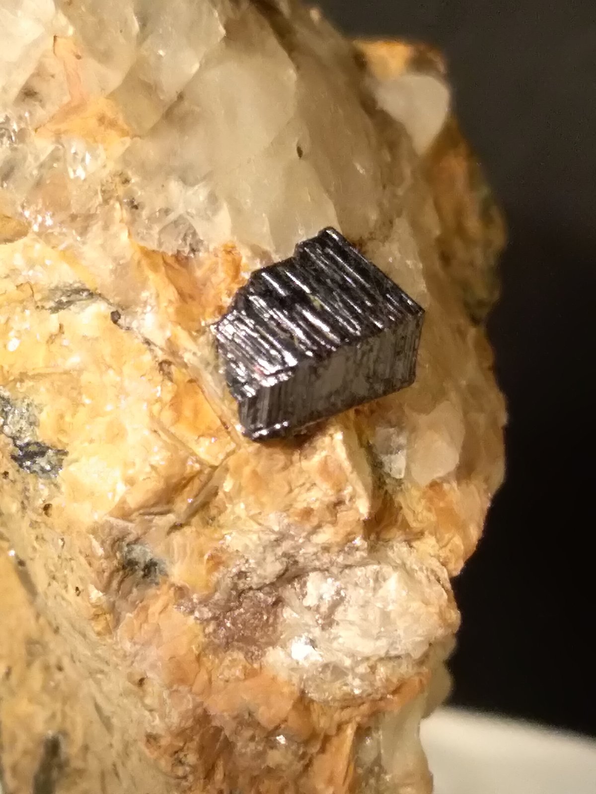 Rutile
38 x 26 mm
(Autor: Sante Celiberti)