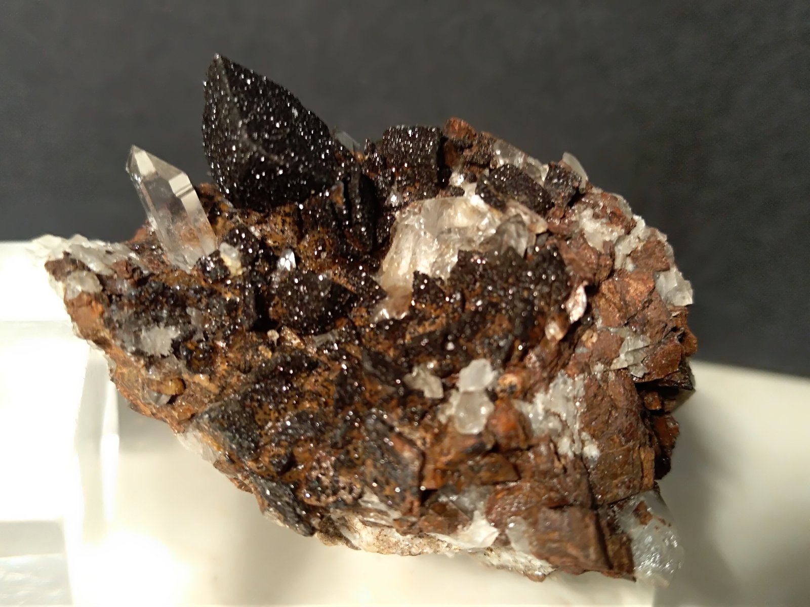 Siderite, Quartz
44 x 32 mm
(Autor: Sante Celiberti)