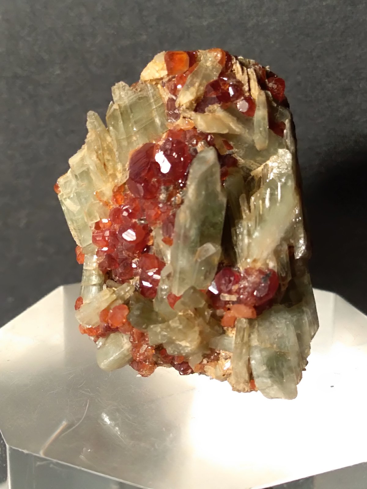 Diopside, Grossular (variety hessonite)
30 x 22 mm
(Autor: Sante Celiberti)