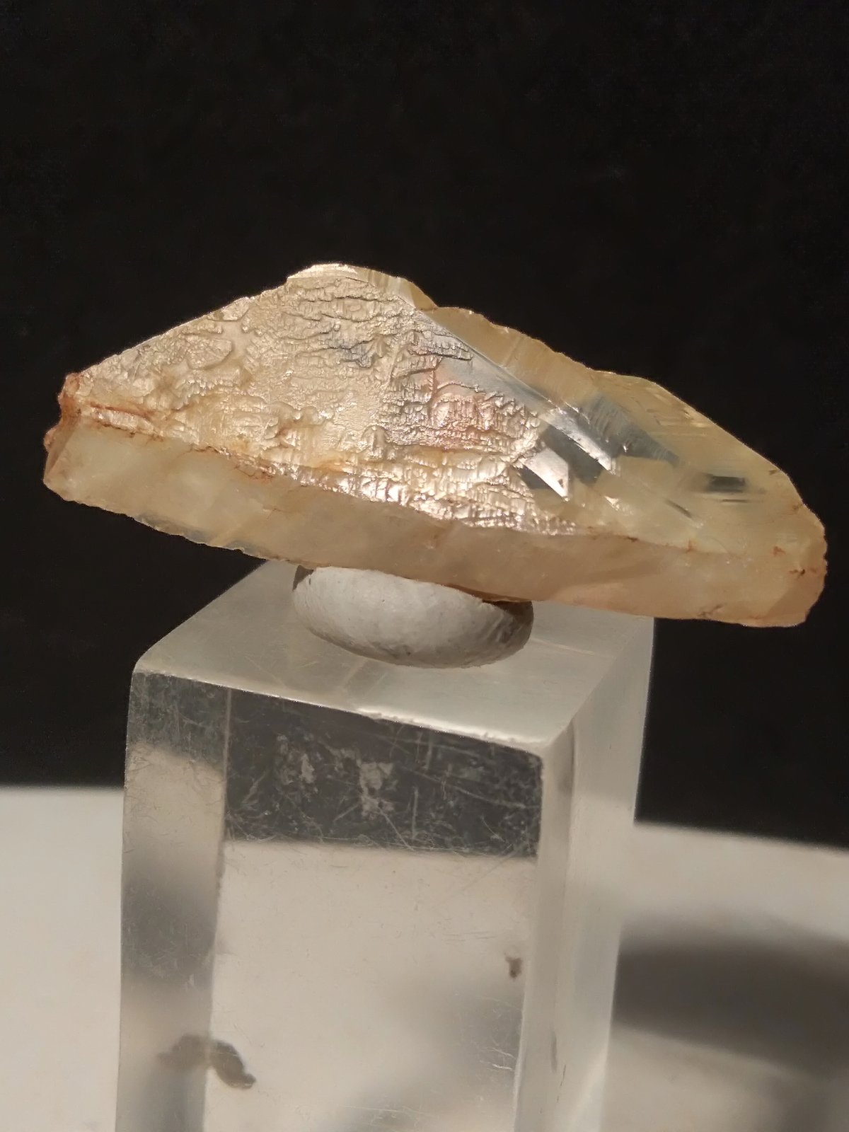Titanite
33 x 12 mm
(Autor: Sante Celiberti)