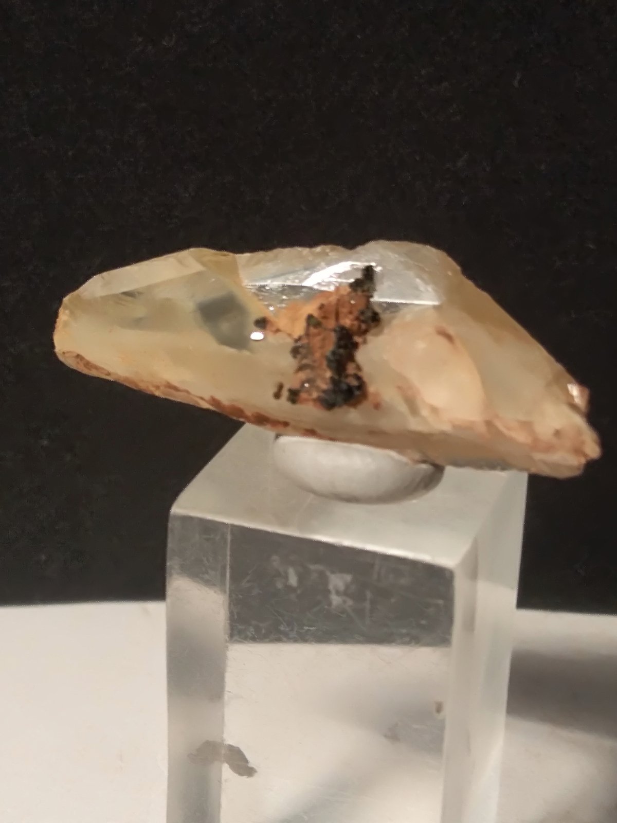 Titanite
33 x 12 mm
(Autor: Sante Celiberti)