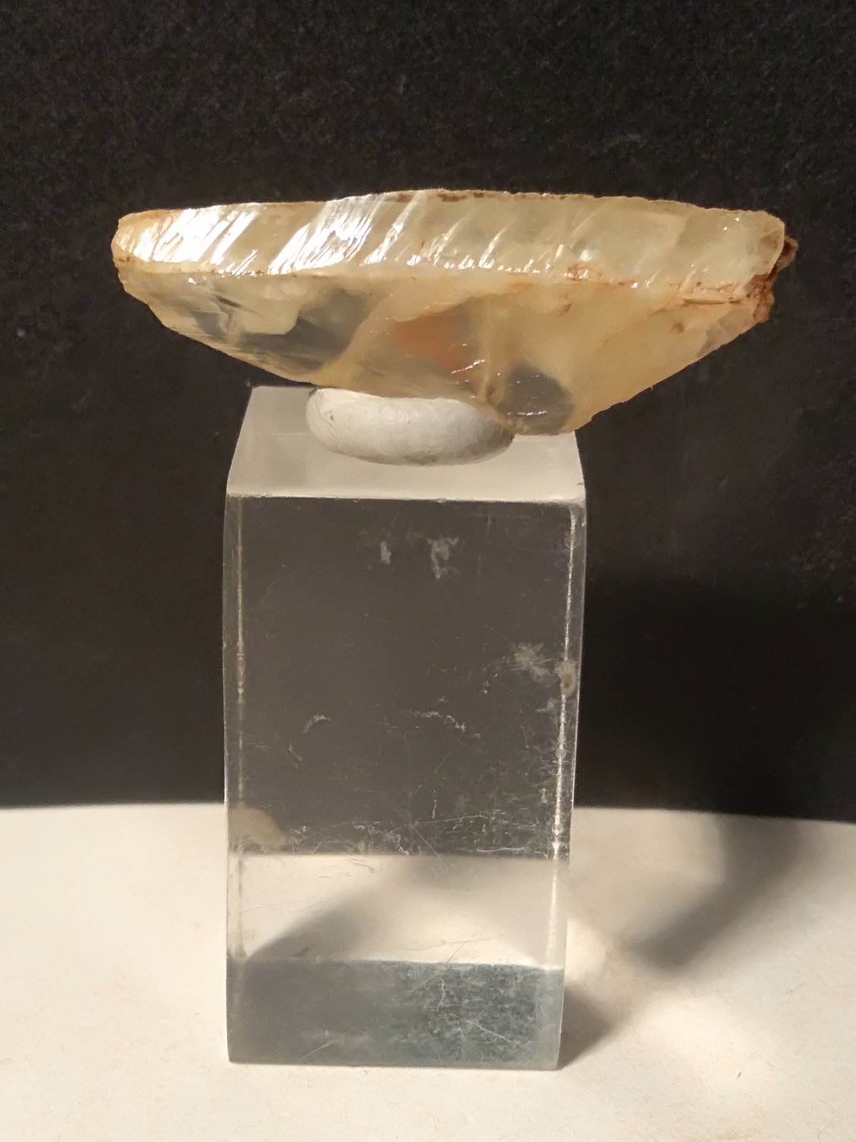 Titanite
33 x 12 mm
(Autor: Sante Celiberti)