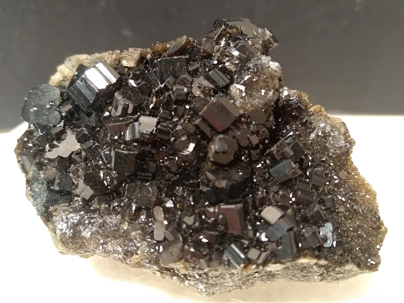 Vesuvianite
44 x 32 mm
(Autor: Sante Celiberti)