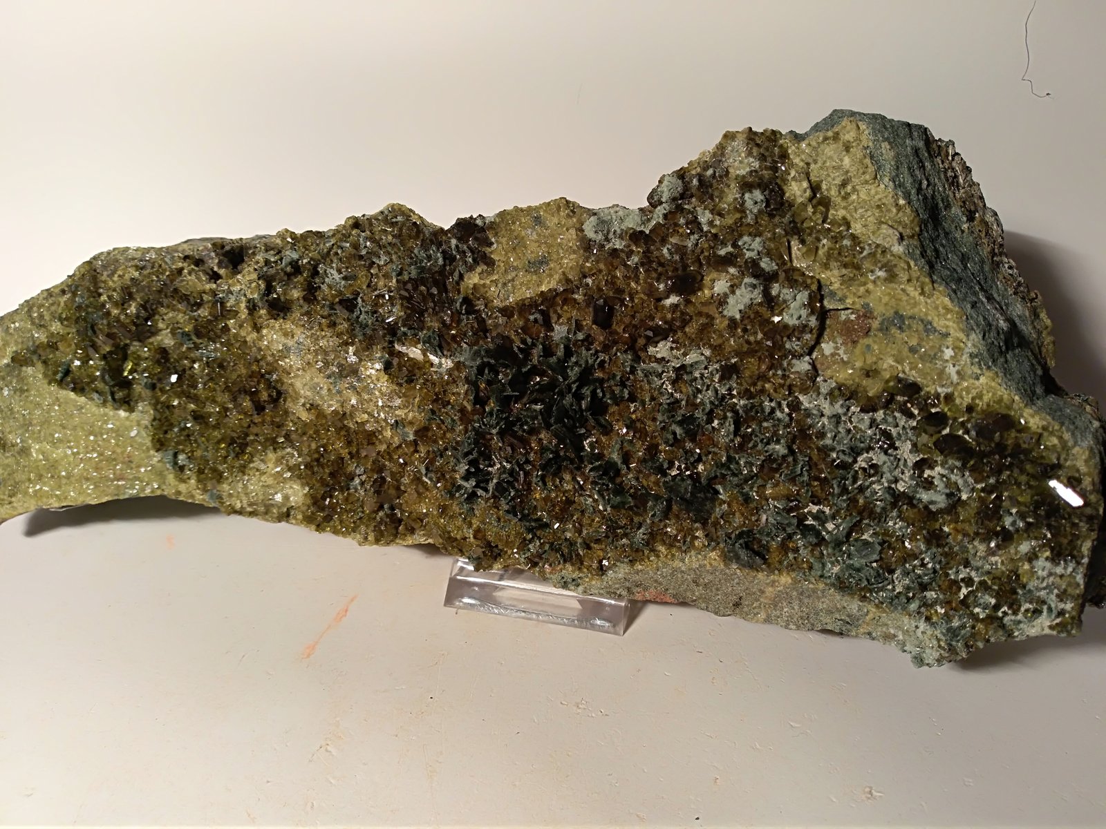 Diopside, Epidote
290 x 100 mm
(Autor: Sante Celiberti)