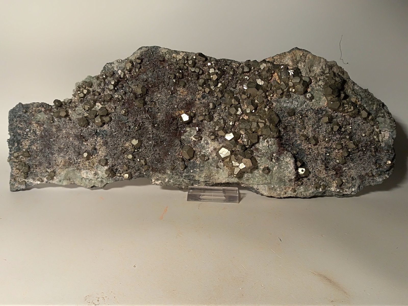 Pyrite, Quartz (variety amethyst)
310 x 120 mm
(Autor: Sante Celiberti)