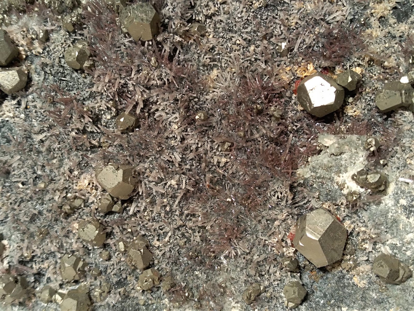 Pyrite, Quartz (variety amethyst)
310 x 120 mm
(Autor: Sante Celiberti)