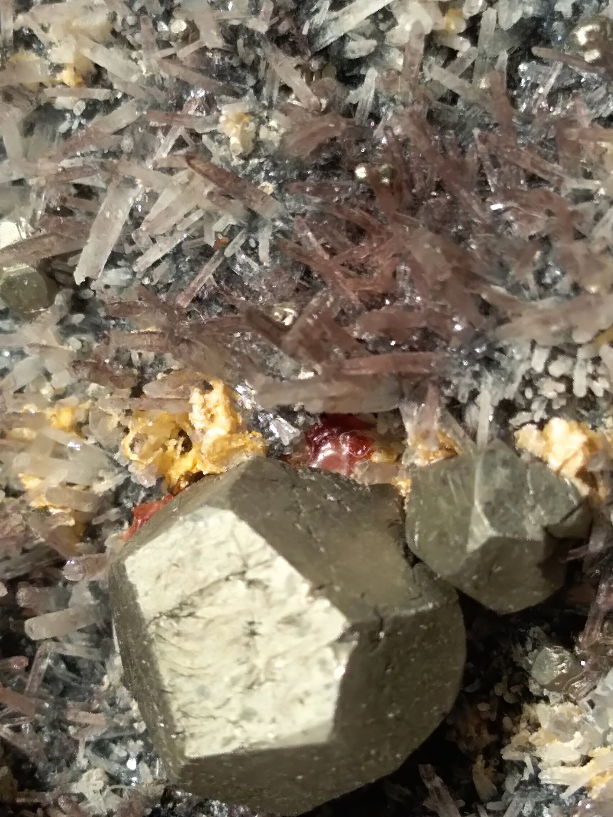 Pyrite, Quartz (variety amethyst)
310 x 120 mm
(Autor: Sante Celiberti)