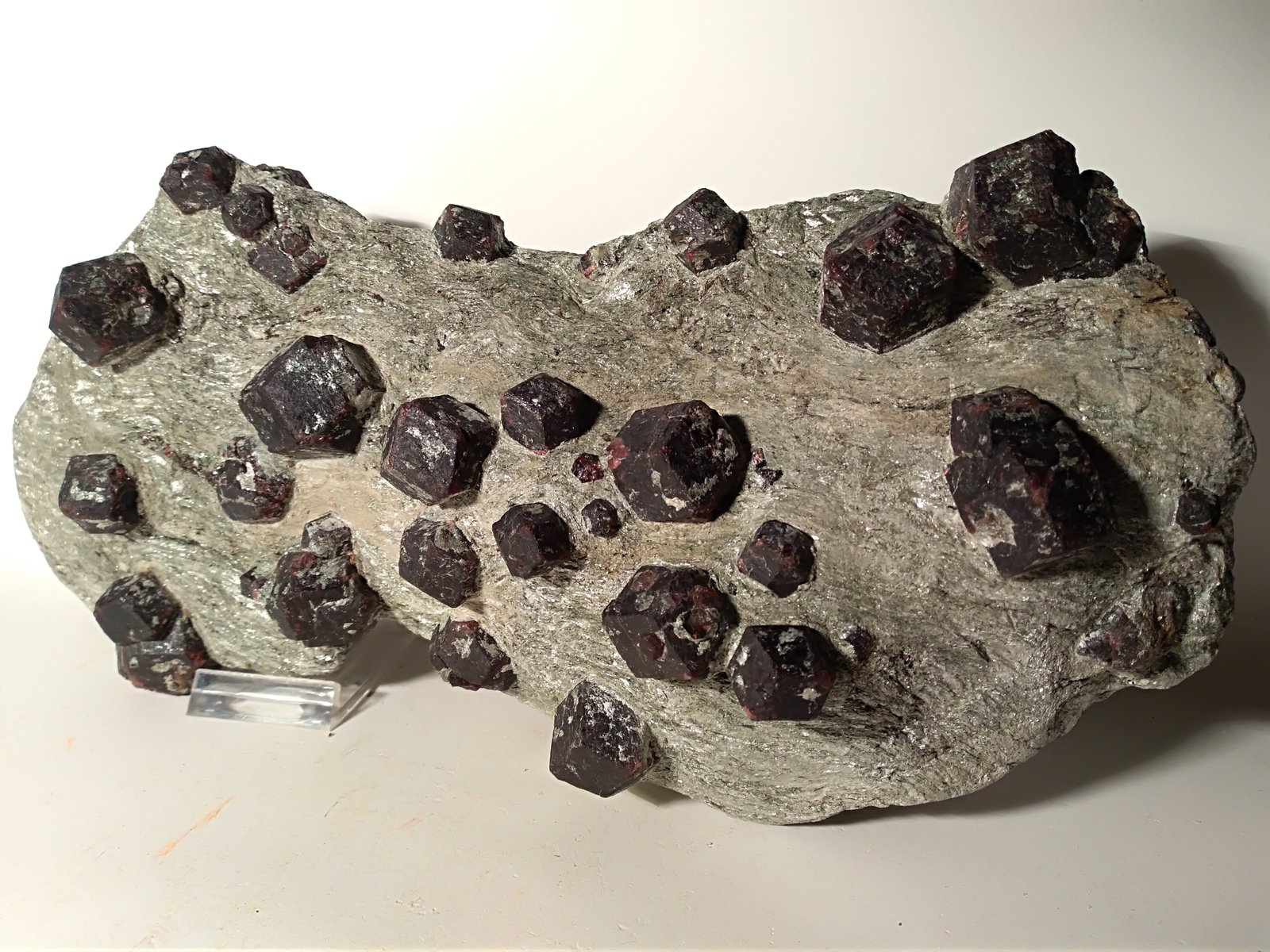 Almandine
305 x 160 mm
(Autor: Sante Celiberti)