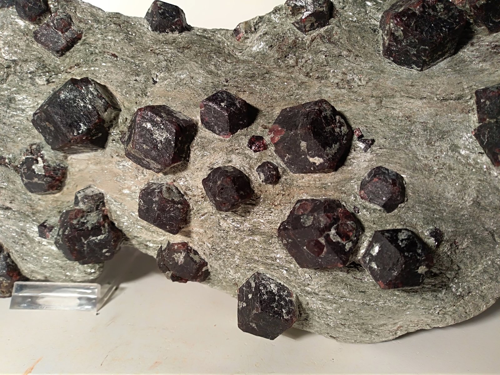 Almandine
305 x 160 mm
(Autor: Sante Celiberti)