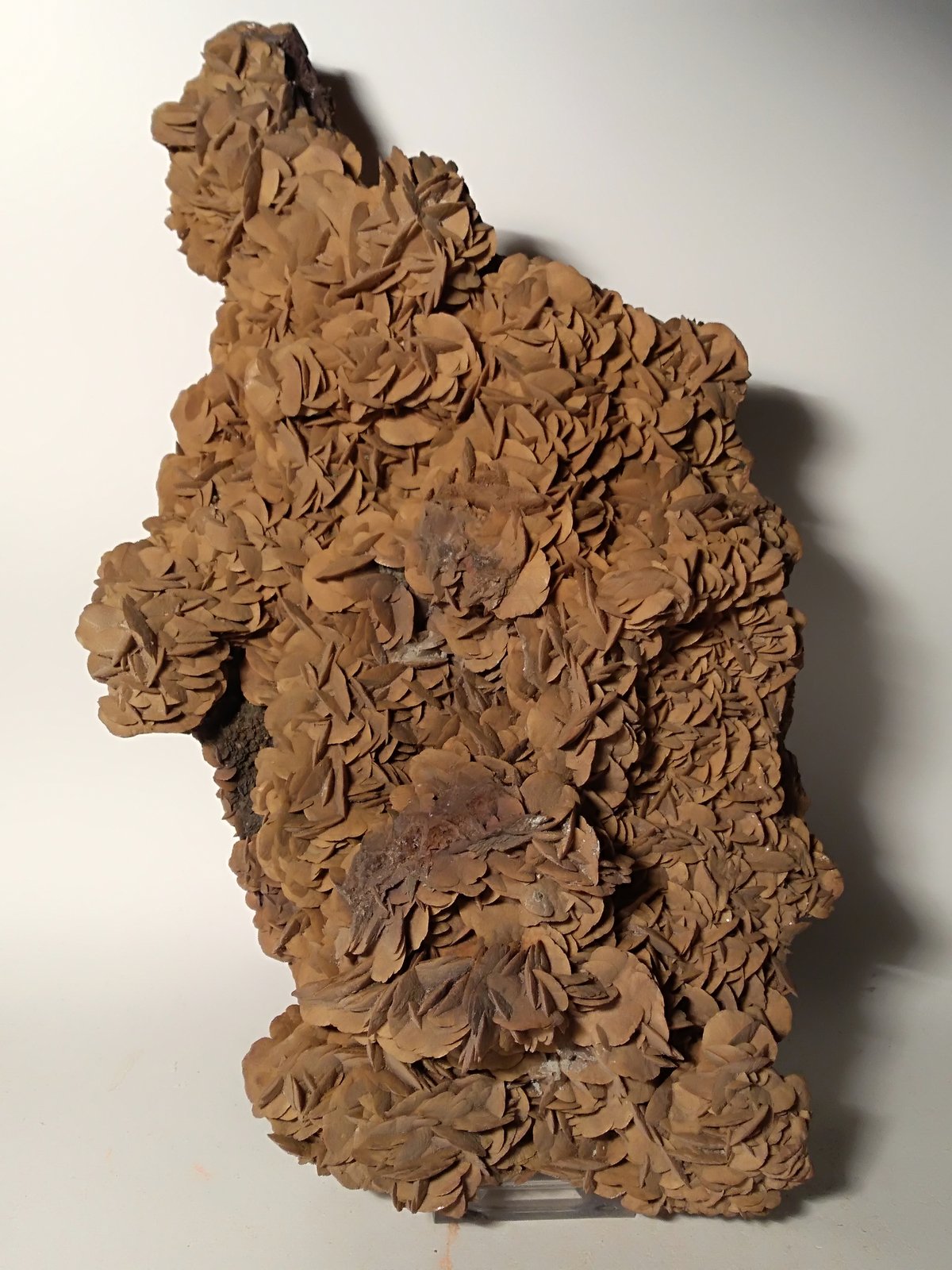 Siderite
260 x 140 mm
(Autor: Sante Celiberti)