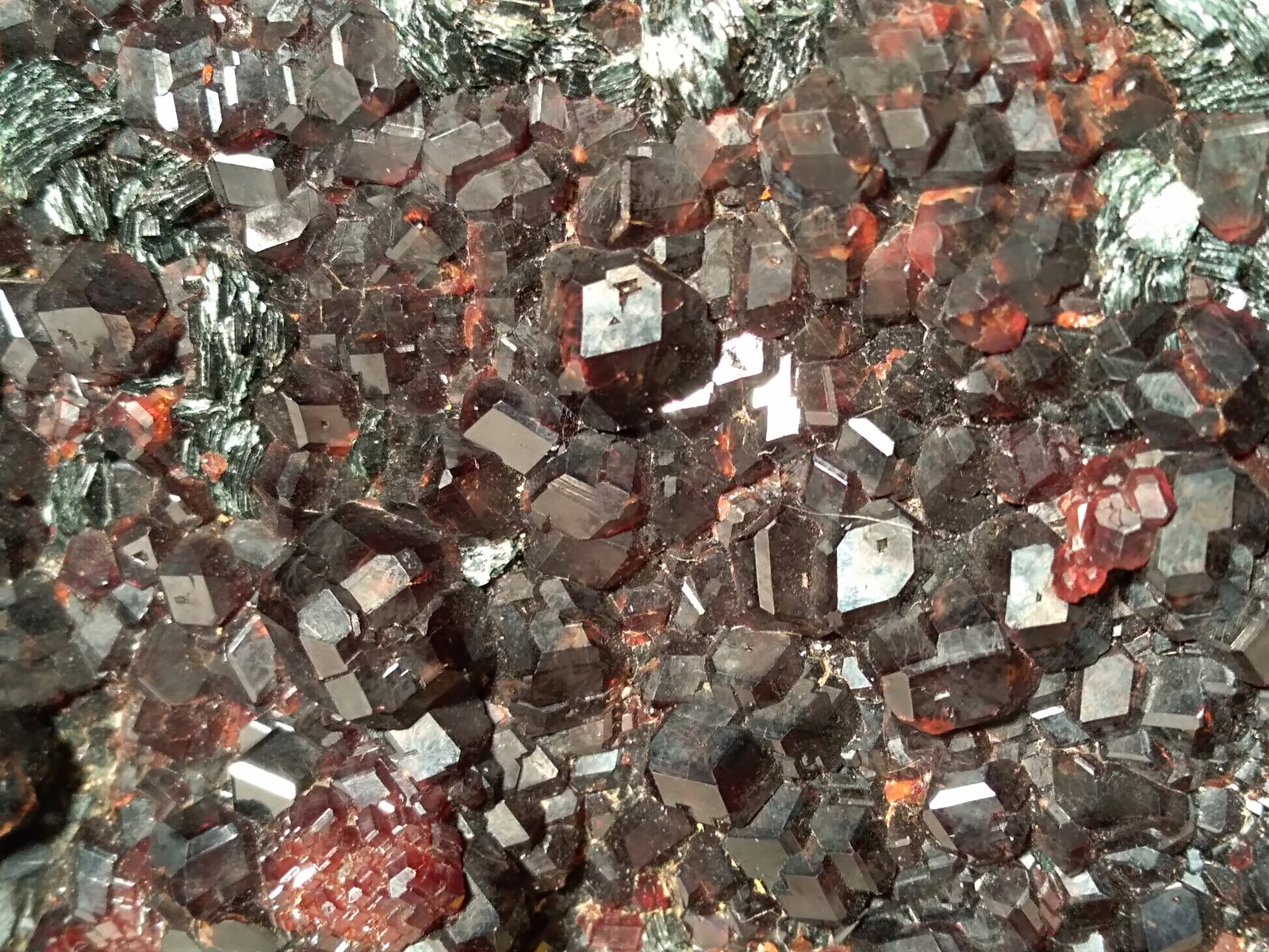 Grossular (variety hessonite), Clinochlore
350 x 220 mm
(Autor: Sante Celiberti)
