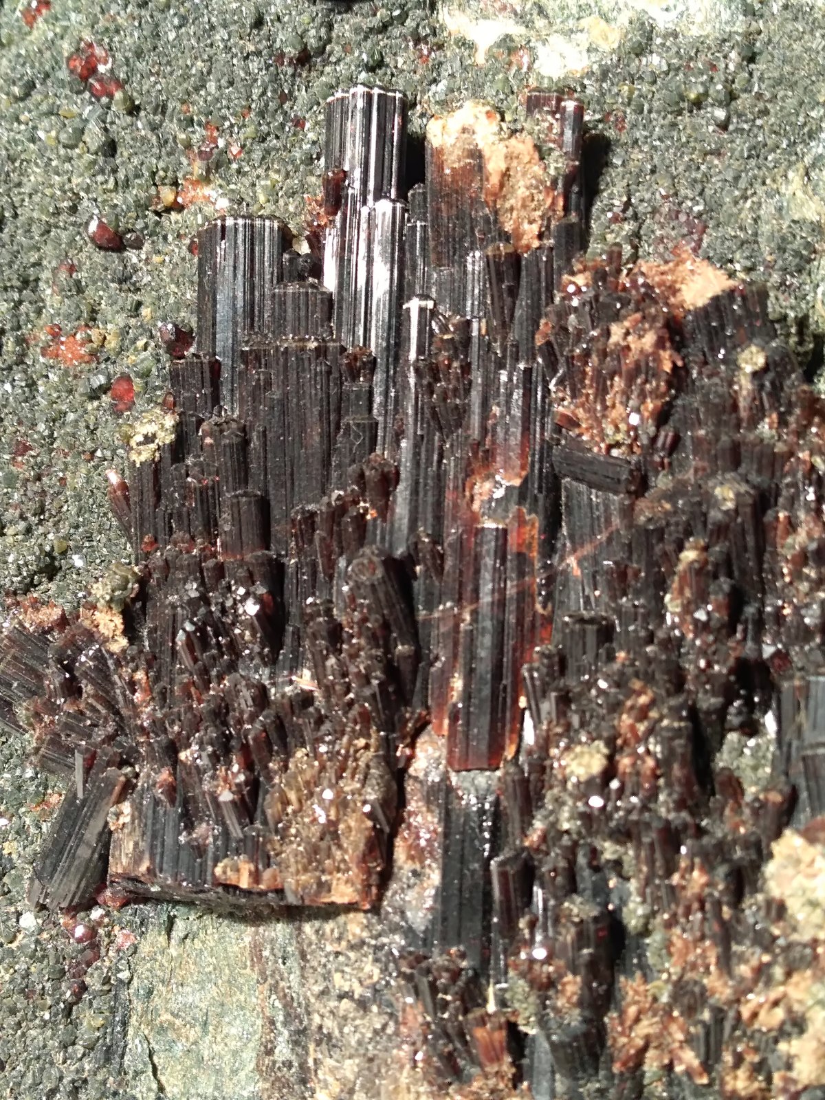 Vesuvianite, Grossular (variety hessonite), Clinochlore
210 x 135 mm
(Autor: Sante Celiberti)