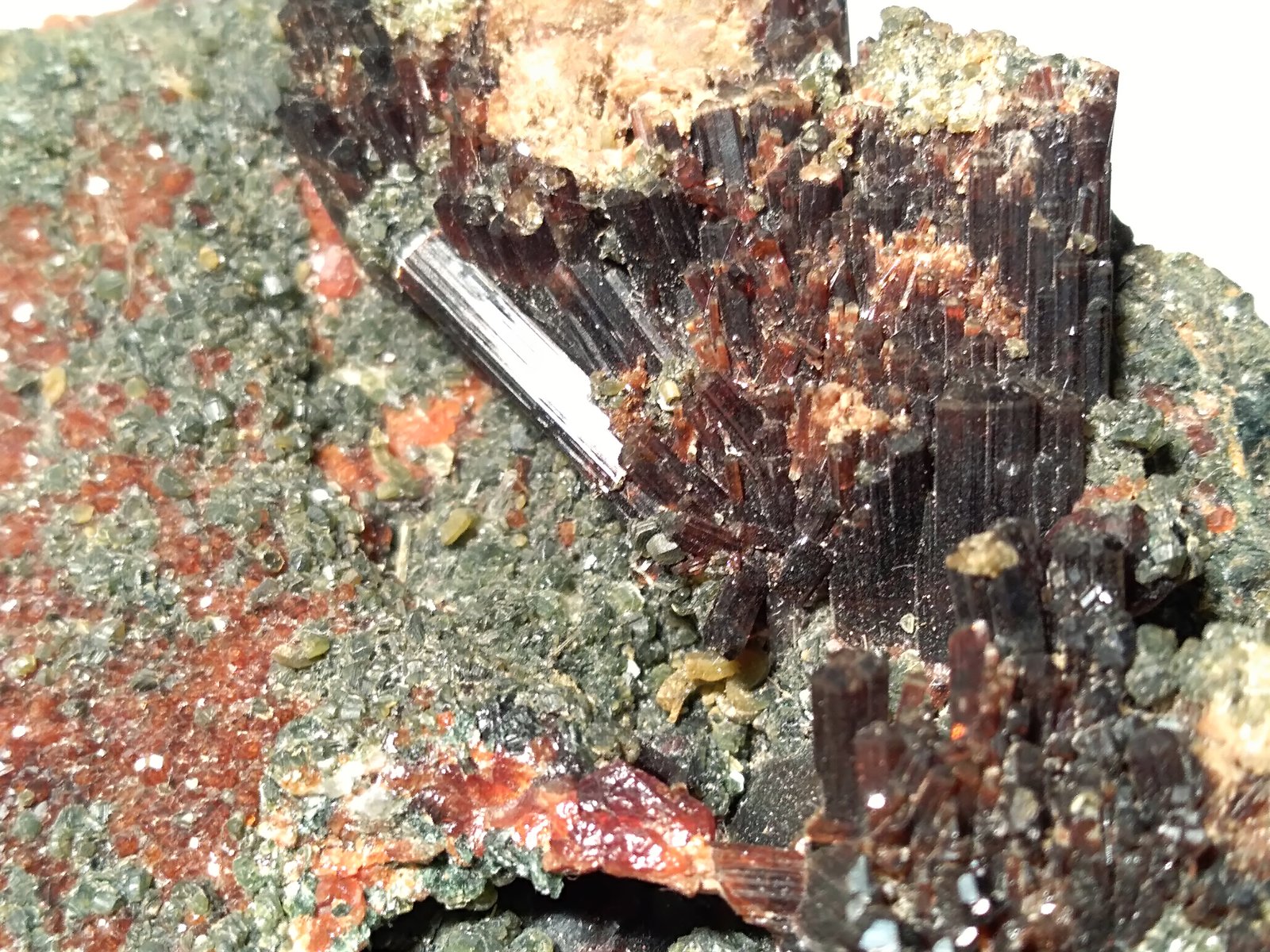 Vesuvianite, Grossular (variety hessonite), Clinochlore
210 x 135 mm
(Autor: Sante Celiberti)