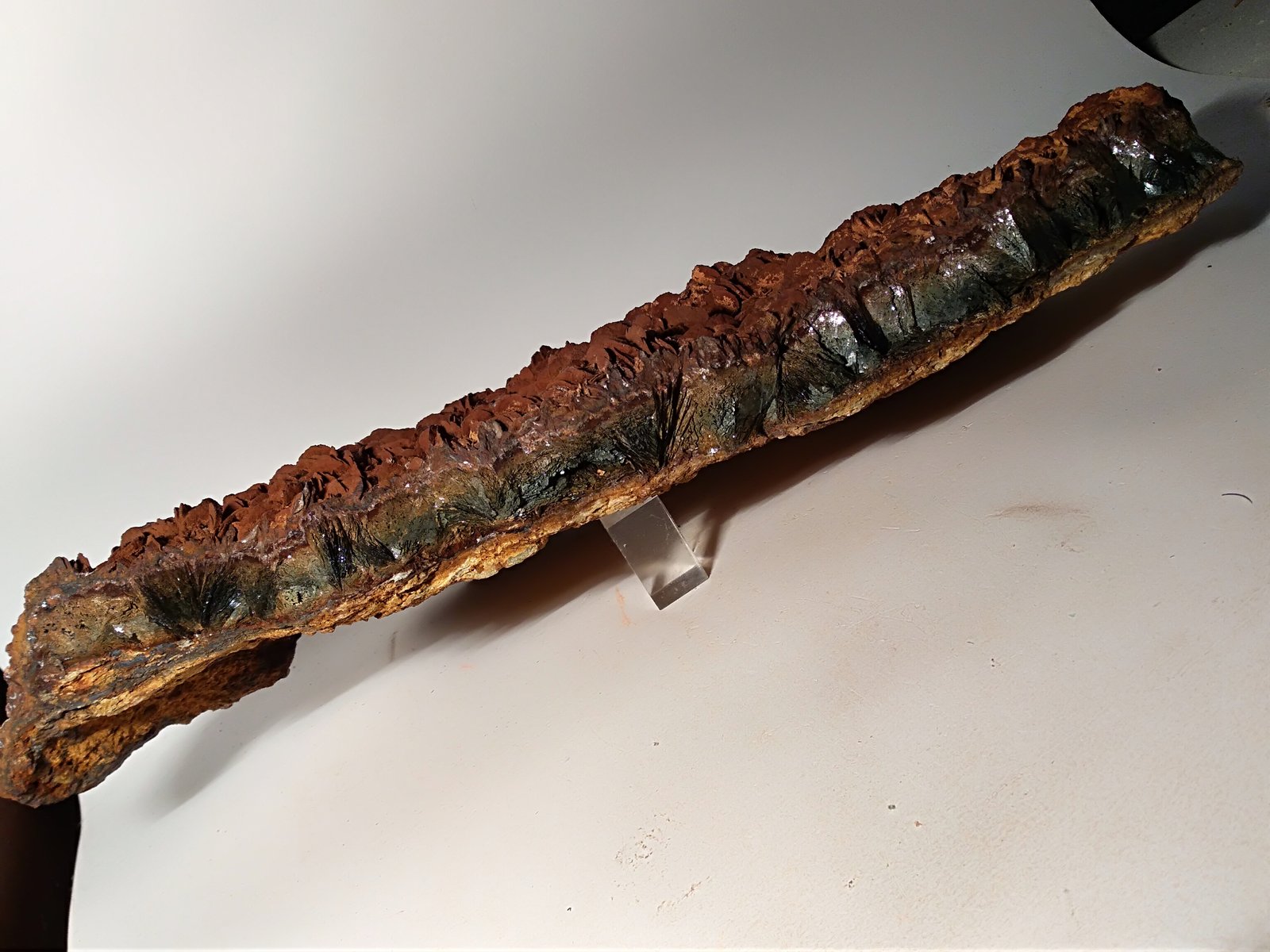 Siderite, Hematite, Talc
380 x 150 mm
(Autor: Sante Celiberti)