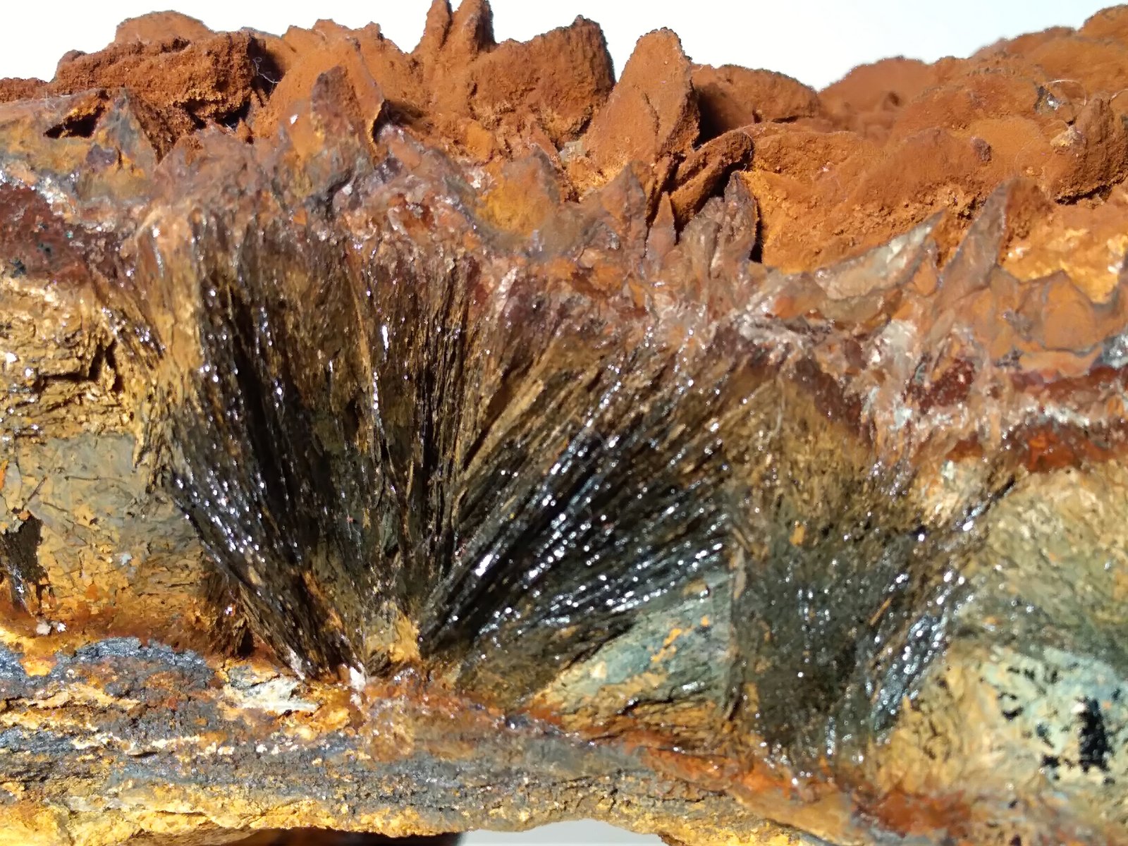 Siderite, Hematite, Talc
380 x 150 mm
(Autor: Sante Celiberti)