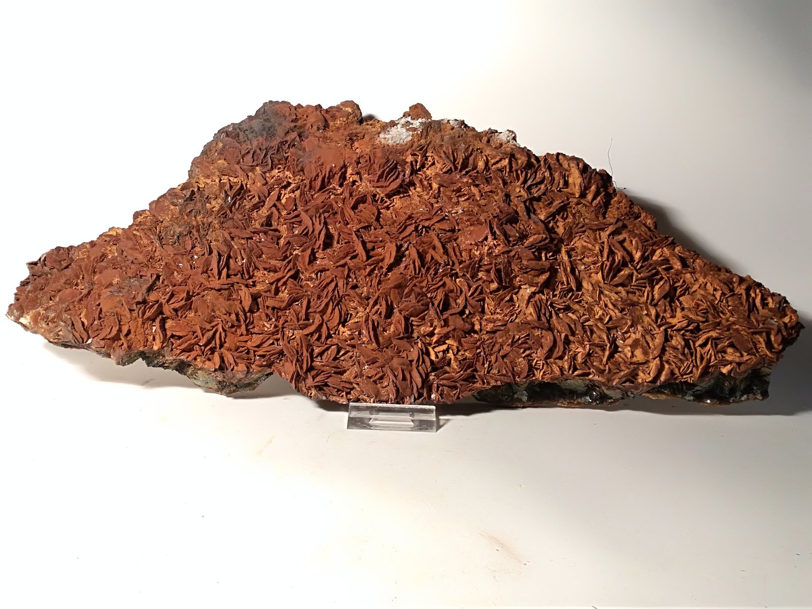 Siderite, Hematite, Talc
380 x 150
(Autor: Sante Celiberti)