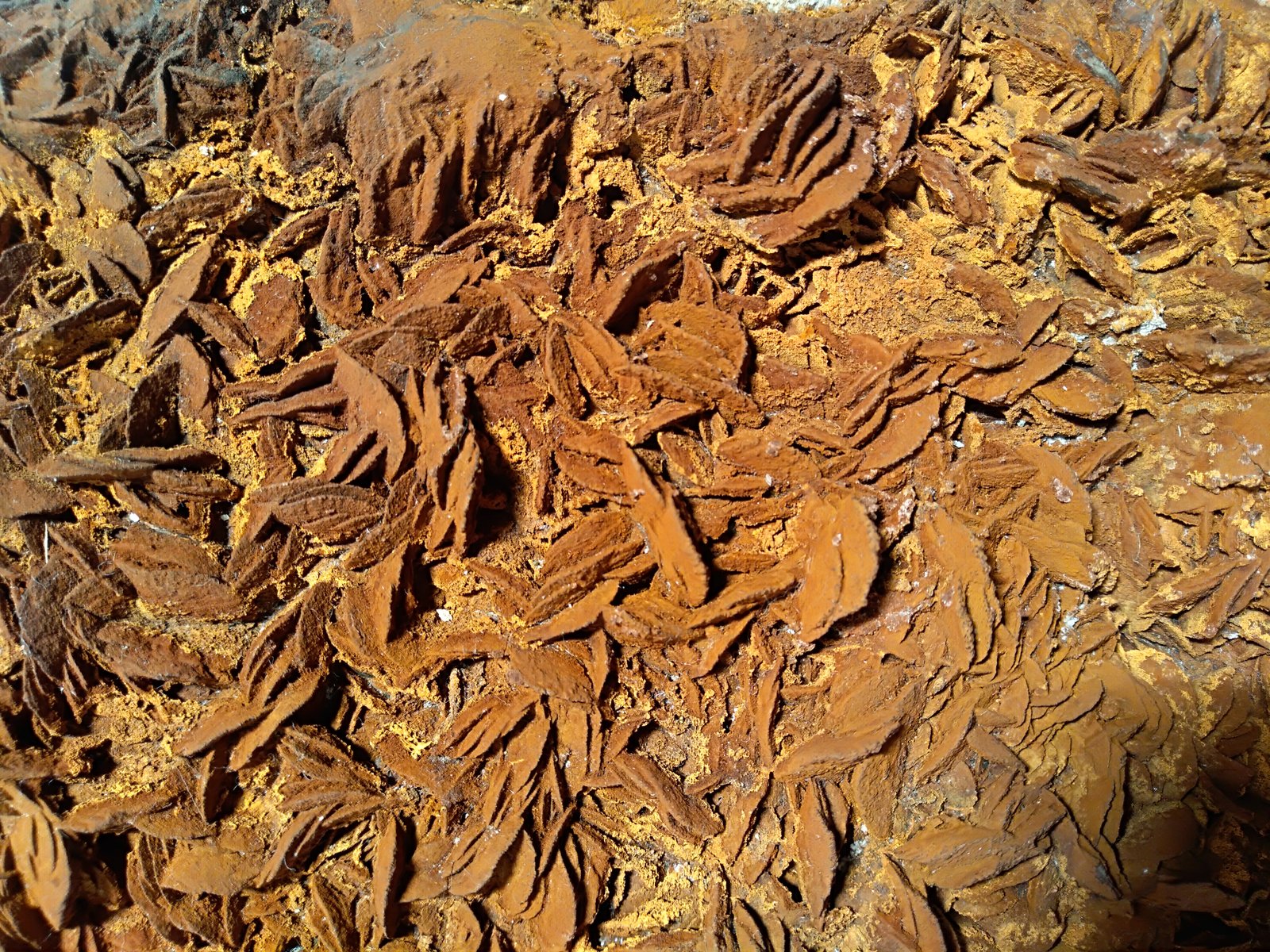 Siderite, Hematite, Talc
380 x 150 mm
(Autor: Sante Celiberti)