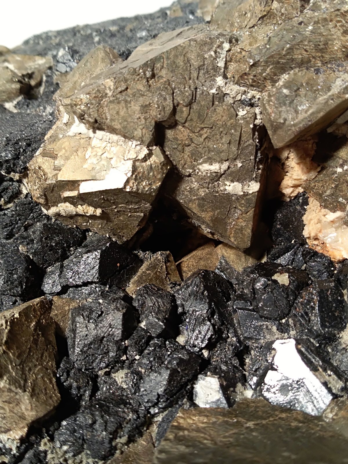 Pyrite, Magnetite
240 x 140 mm
(Autor: Sante Celiberti)