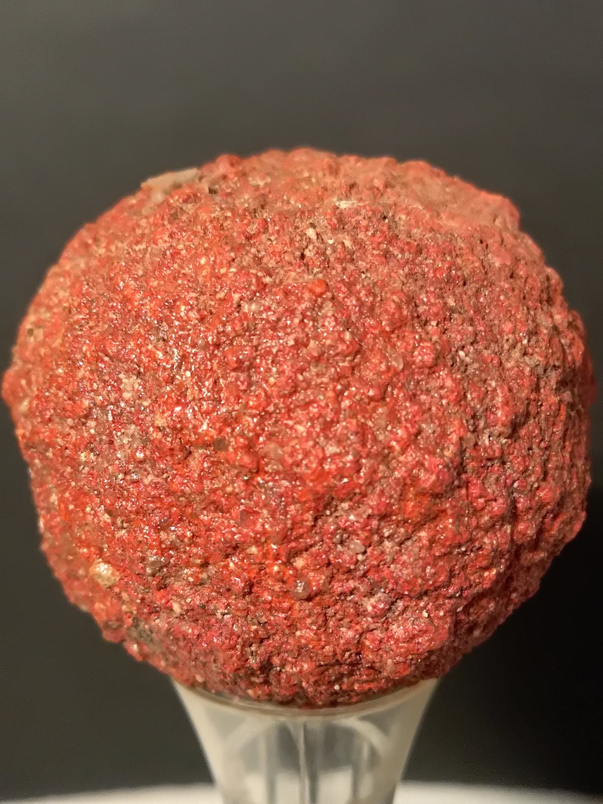 Cinnabar
41 x 39 mm
(Autor: Sante Celiberti)