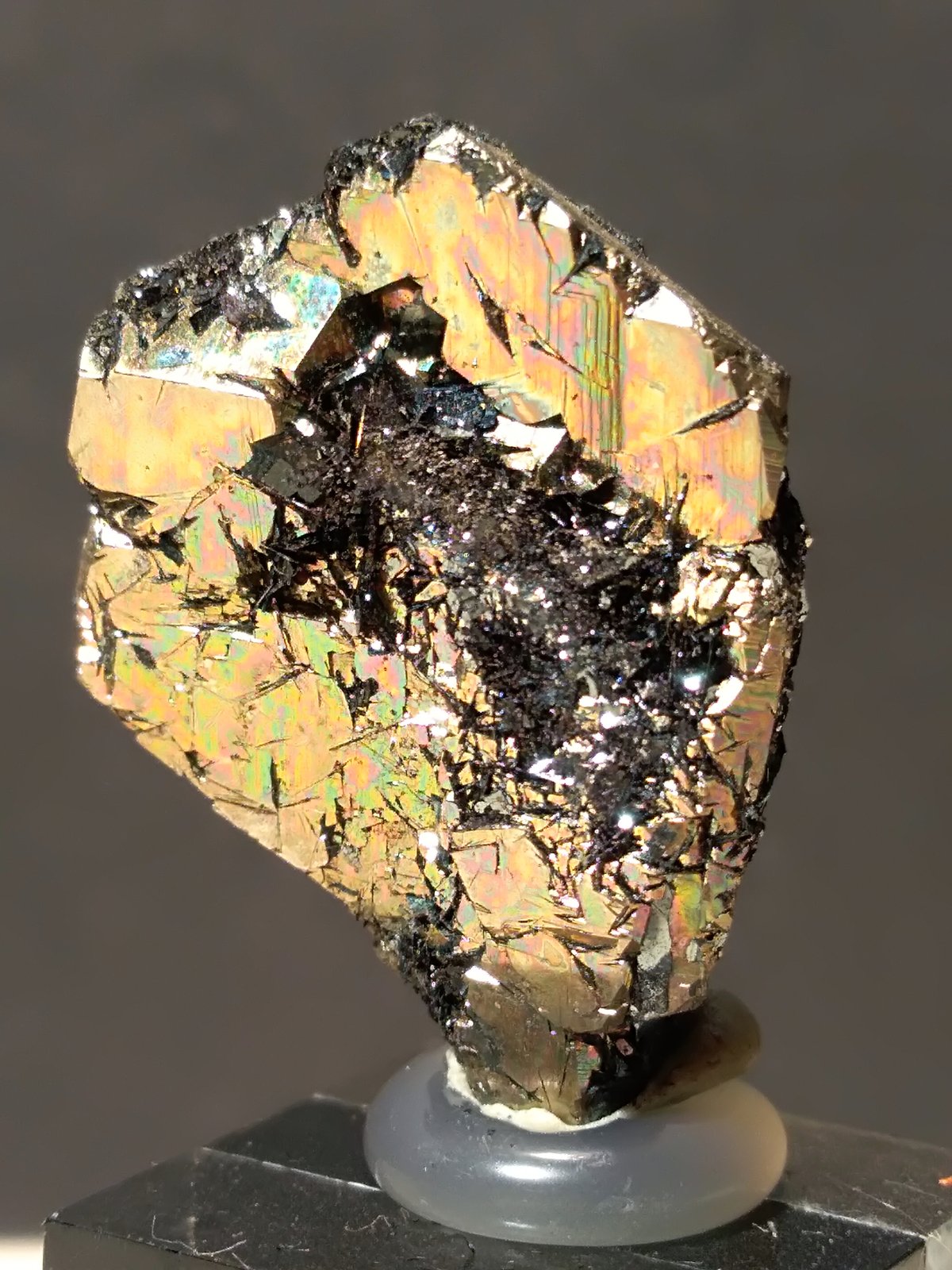 Pyrite, Hematite
24 x 19,5 x 7 mm
(Autor: Sante Celiberti)