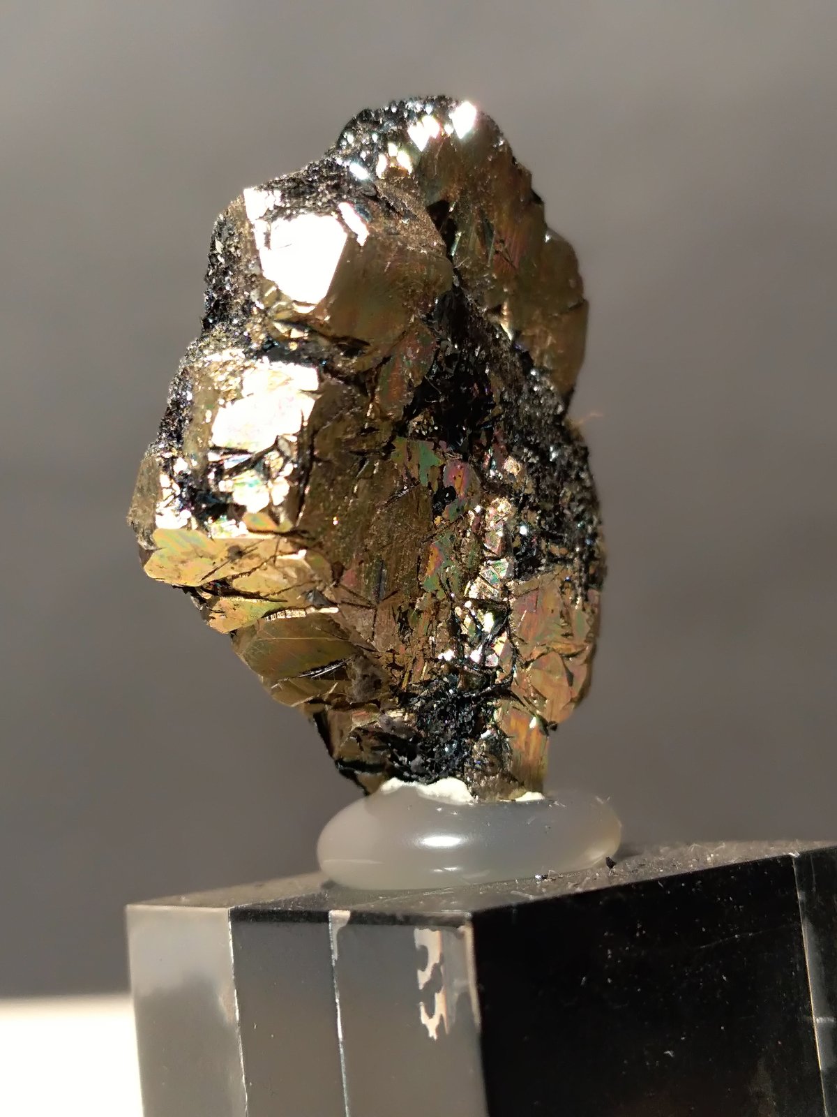 Pyrite, Hematite
24 x 19,5 x 7 mm
(Autor: Sante Celiberti)