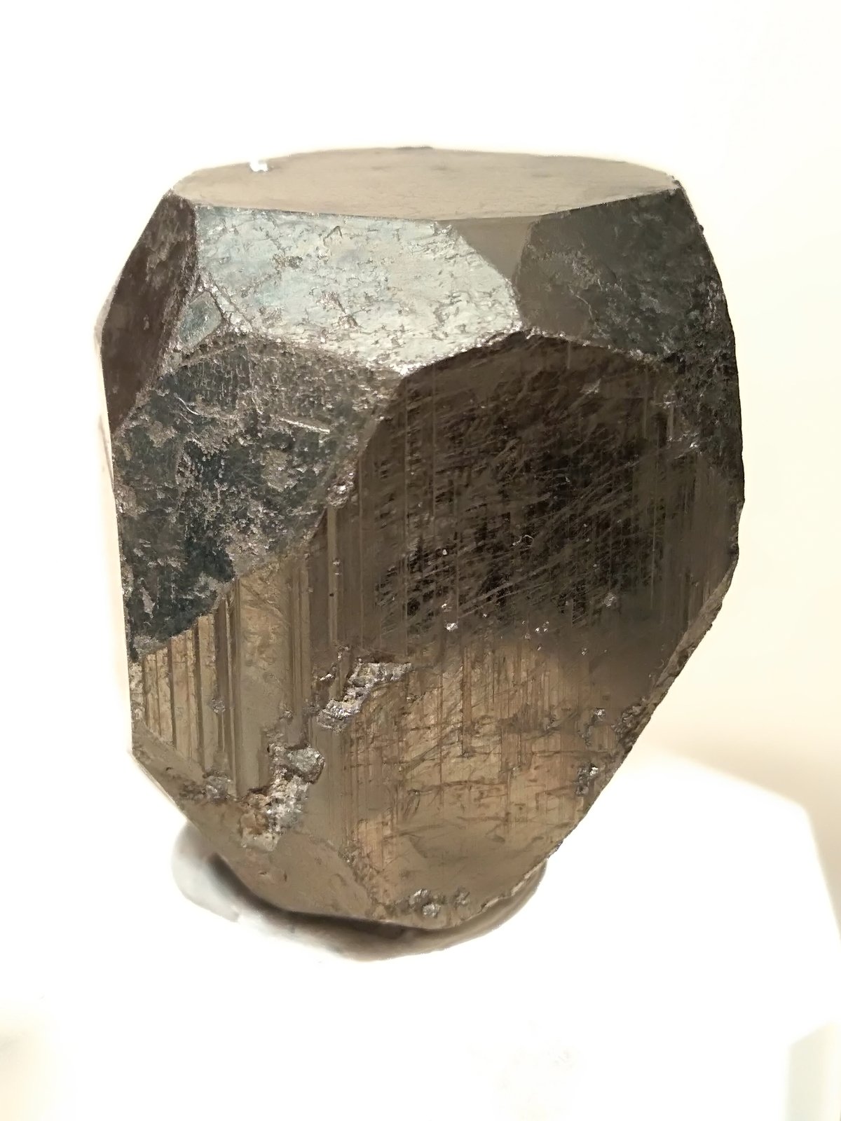 Pyrite
26 x 20,3 mm
(Autor: Sante Celiberti)
