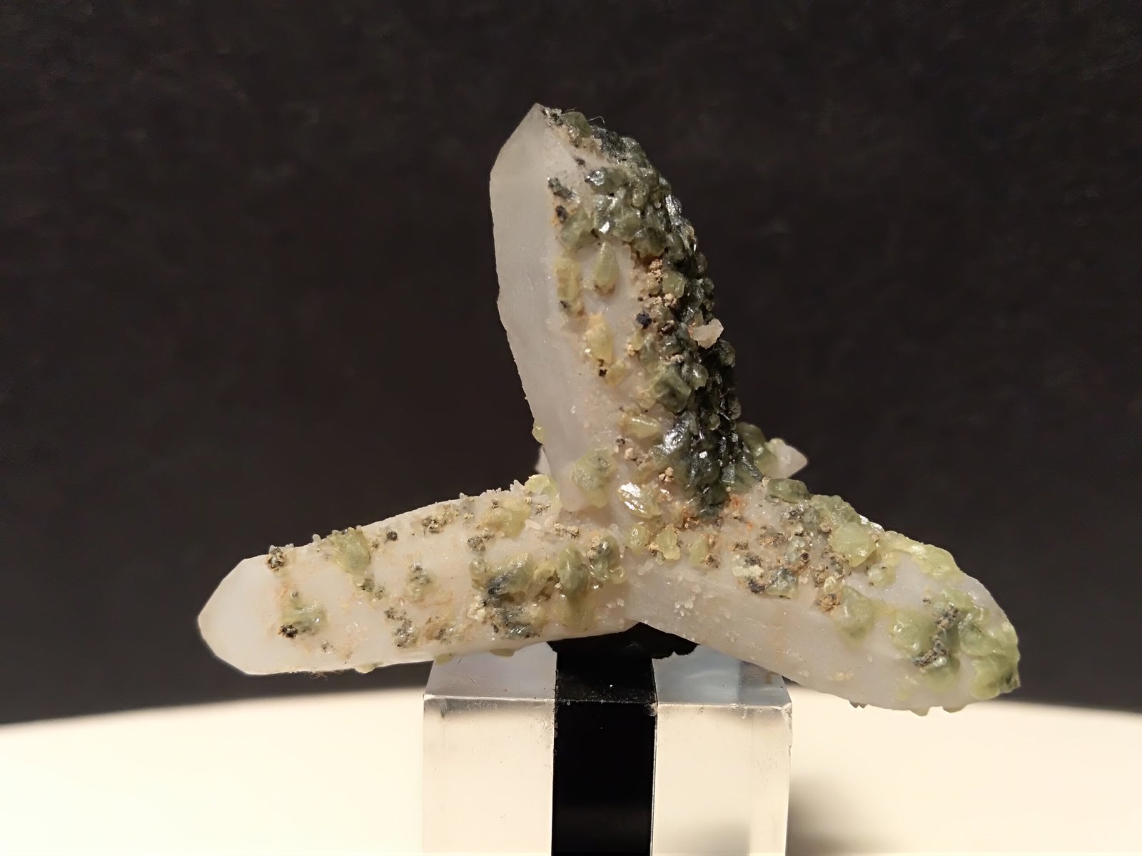 Sulphur, Quartz
38 x 28 mm
(Autor: Sante Celiberti)