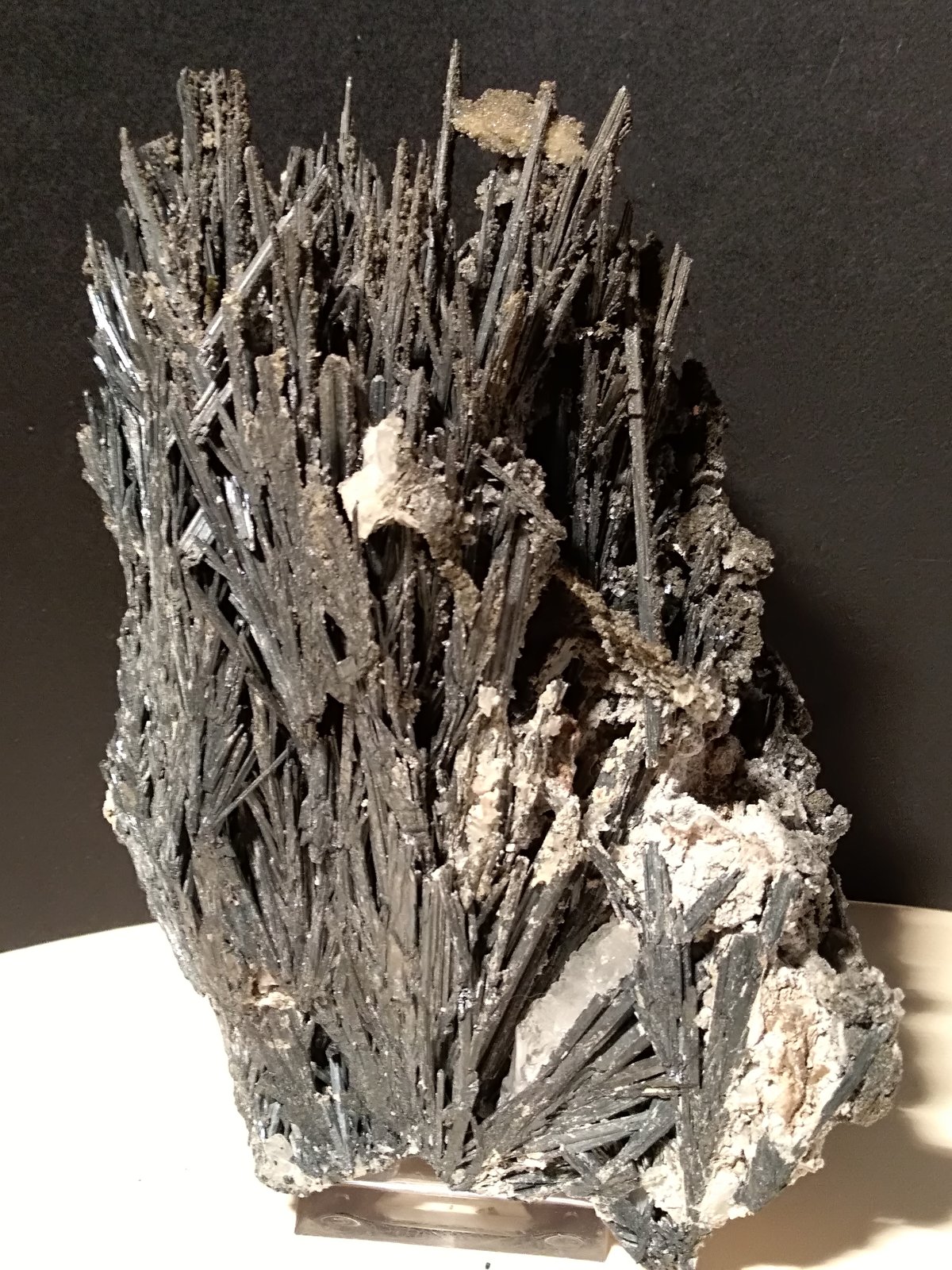 Stibnite
140 x 110 mm
(Autor: Sante Celiberti)