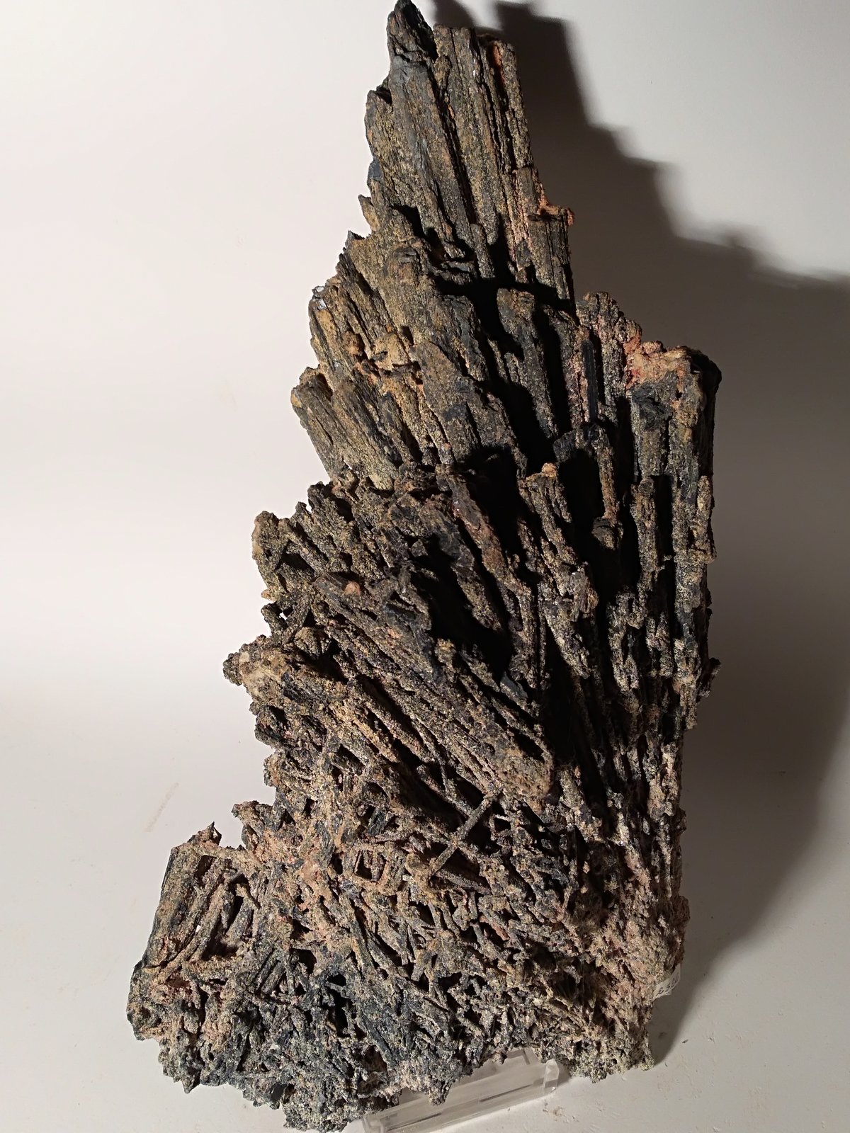 Stibnite
265 x 150 mm
(Autor: Sante Celiberti)