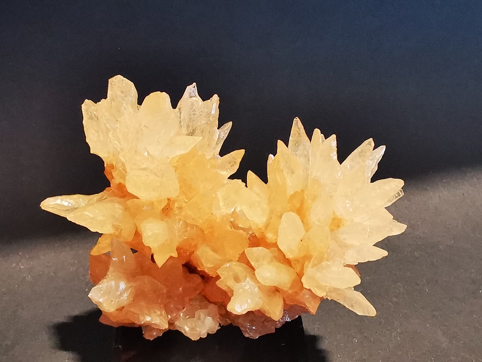 Aragonite
8 cm x 6,5 cm
(Autor: Enrique Llorens)