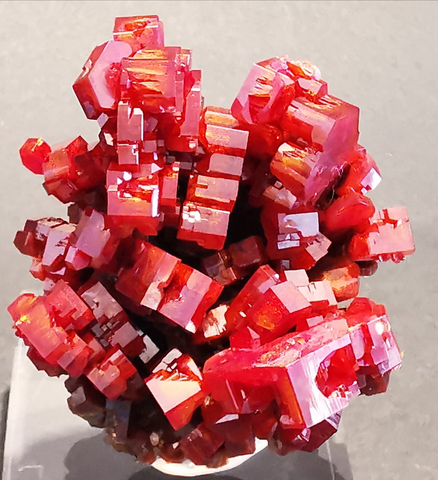 Vanadinite
5 cm x 5 cm
(Autor: Enrique Llorens)