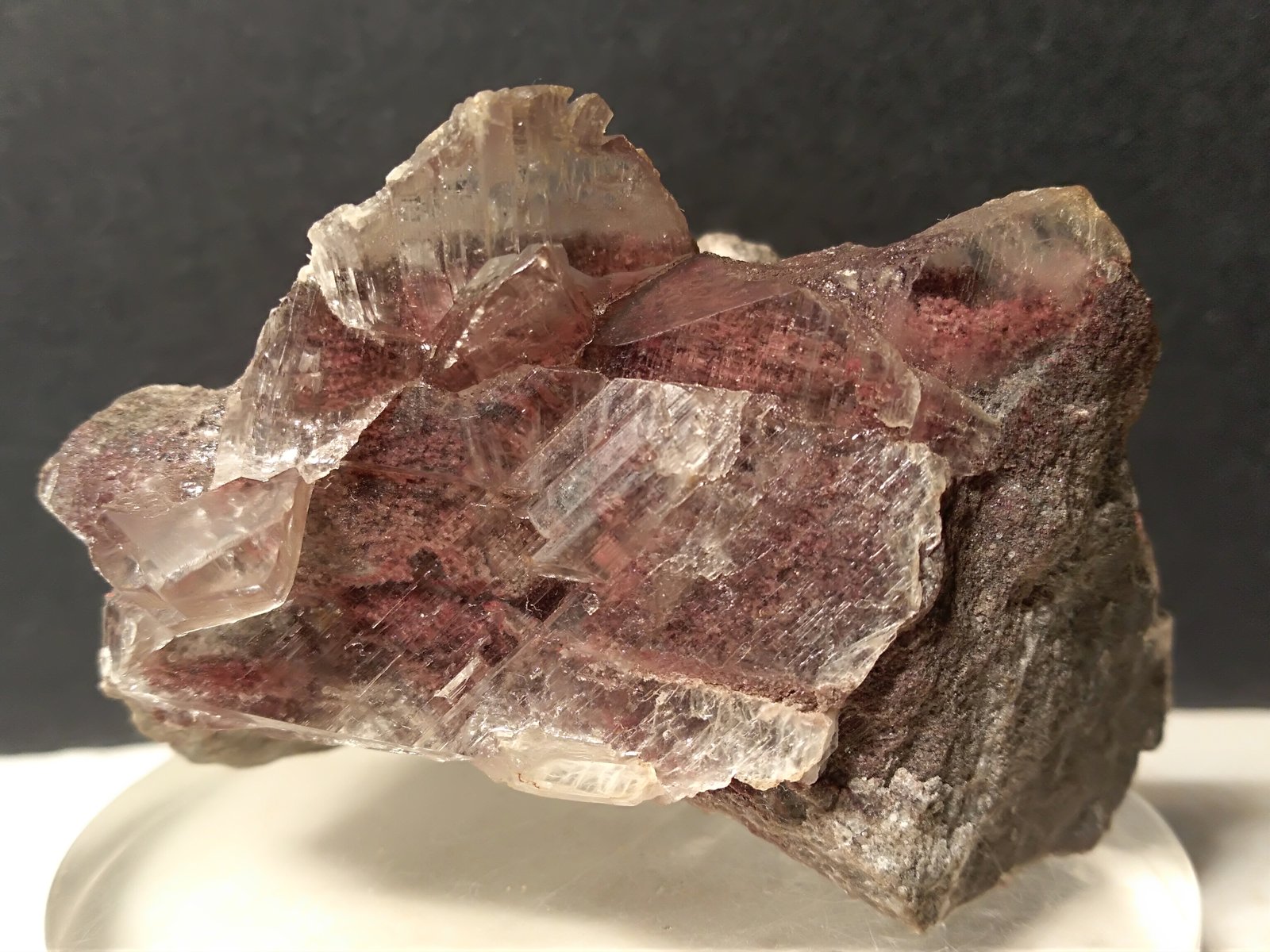 Cinnabar, Gypsum
62 x 36 mm
(Autor: Sante Celiberti)