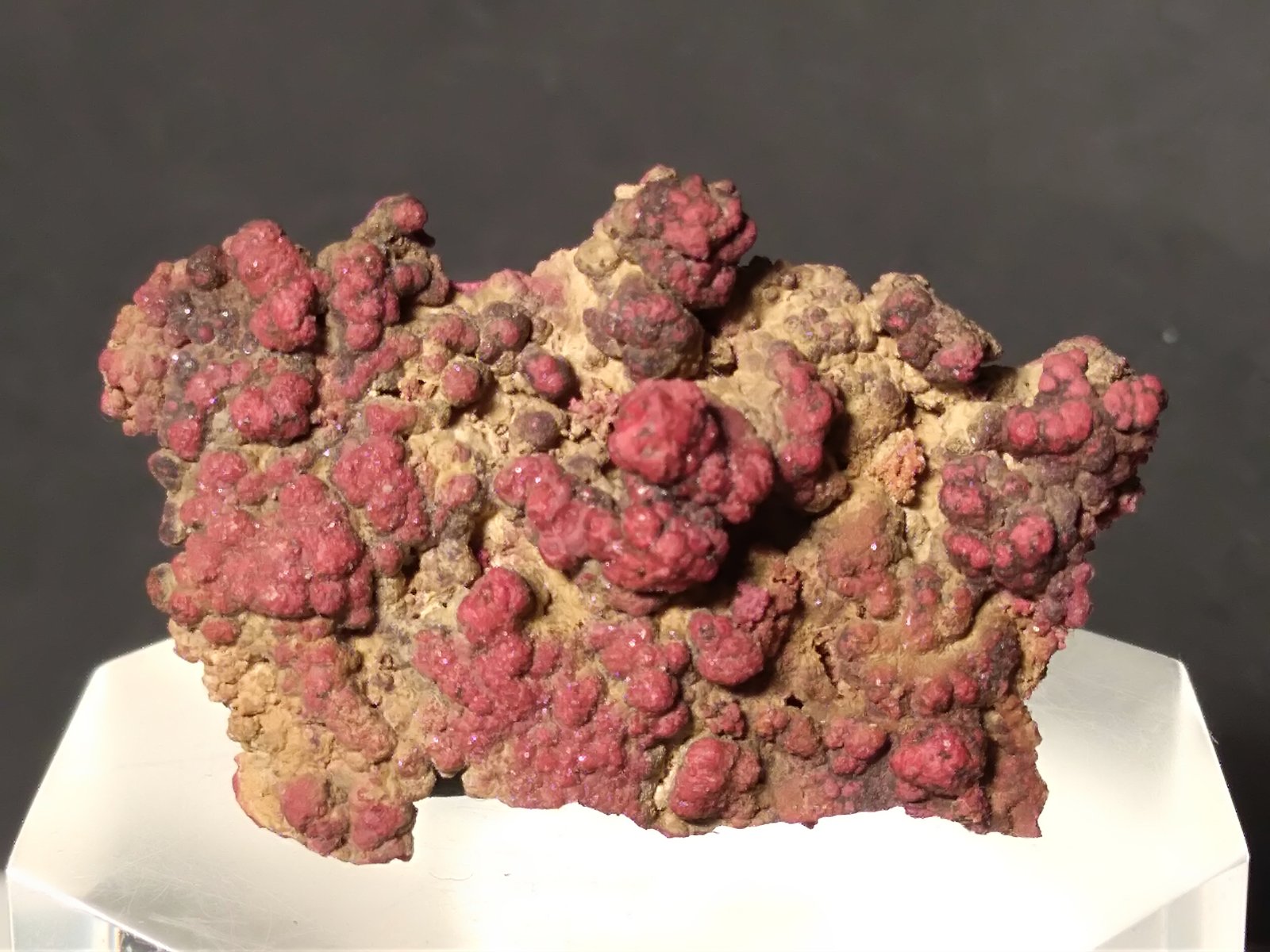 Cinnabar
34 x 23 mm
(Autor: Sante Celiberti)