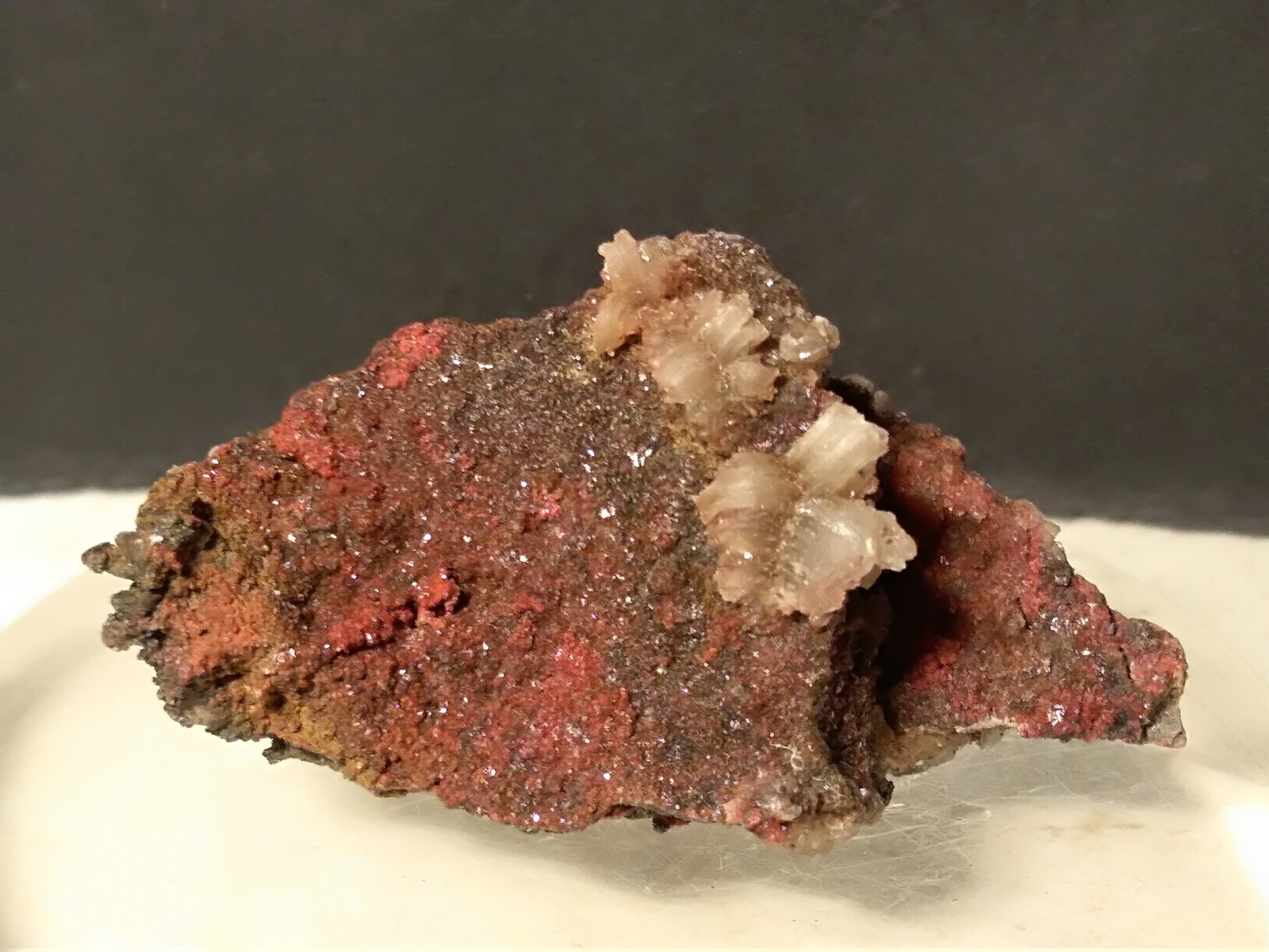 Cinnabar, Gypsum
46 x 25 mm
(Autor: Sante Celiberti)