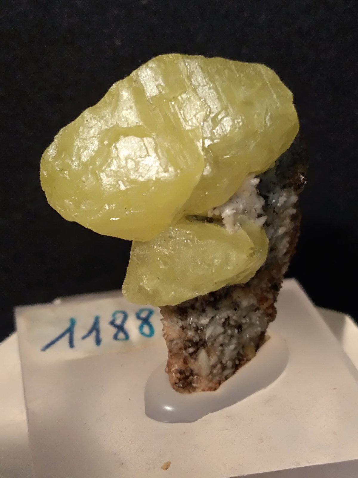 Sulphur
30 x 25 mm
(Autor: Sante Celiberti)