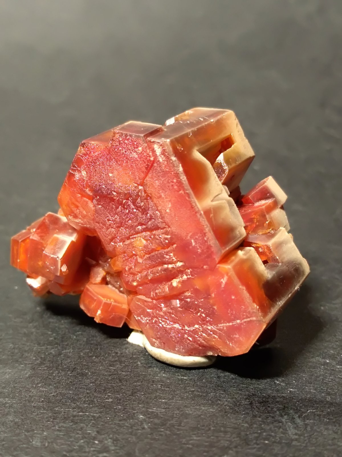 Vanadinite
30 x 26 mm
(Autor: Sante Celiberti)